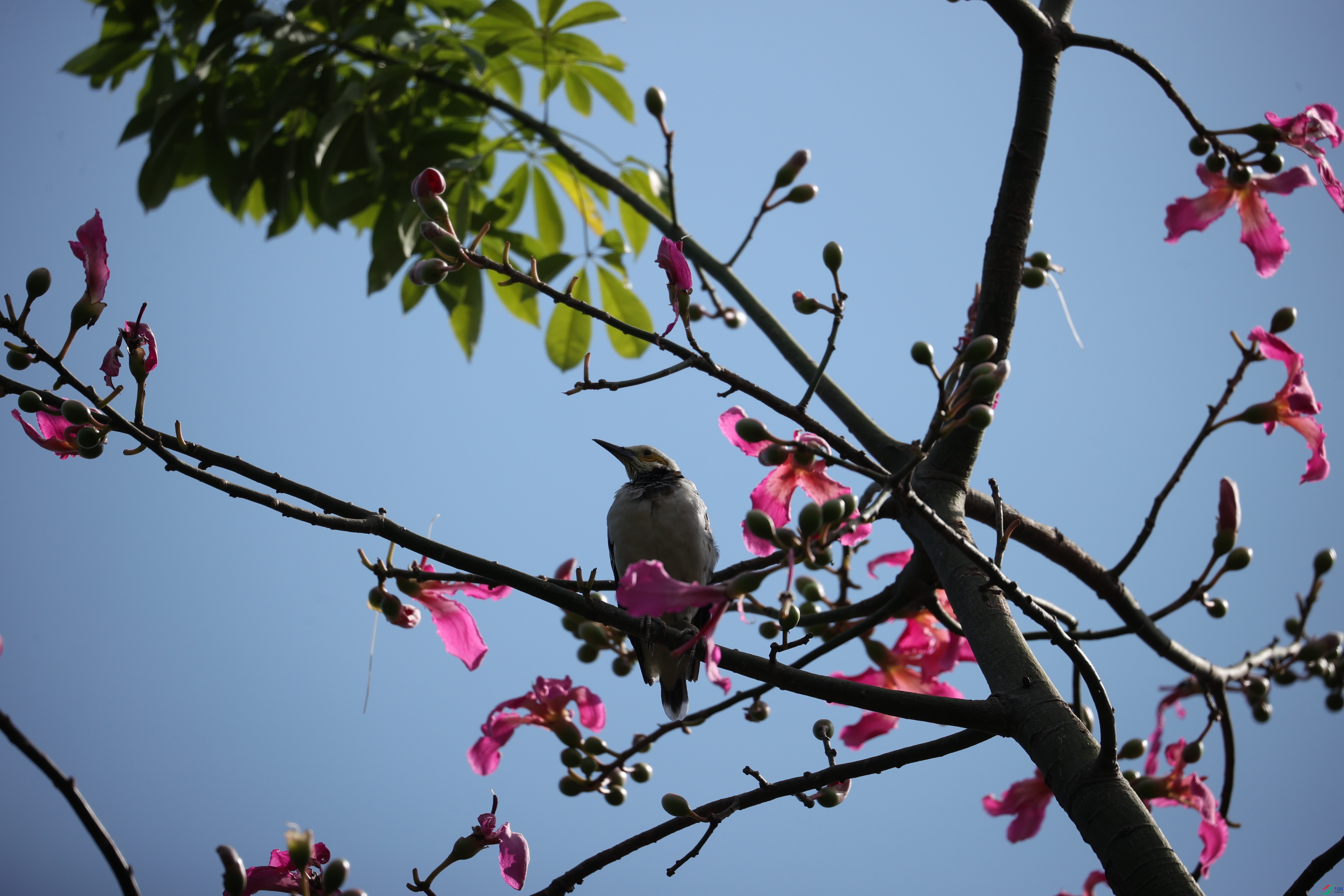 7503��ש����