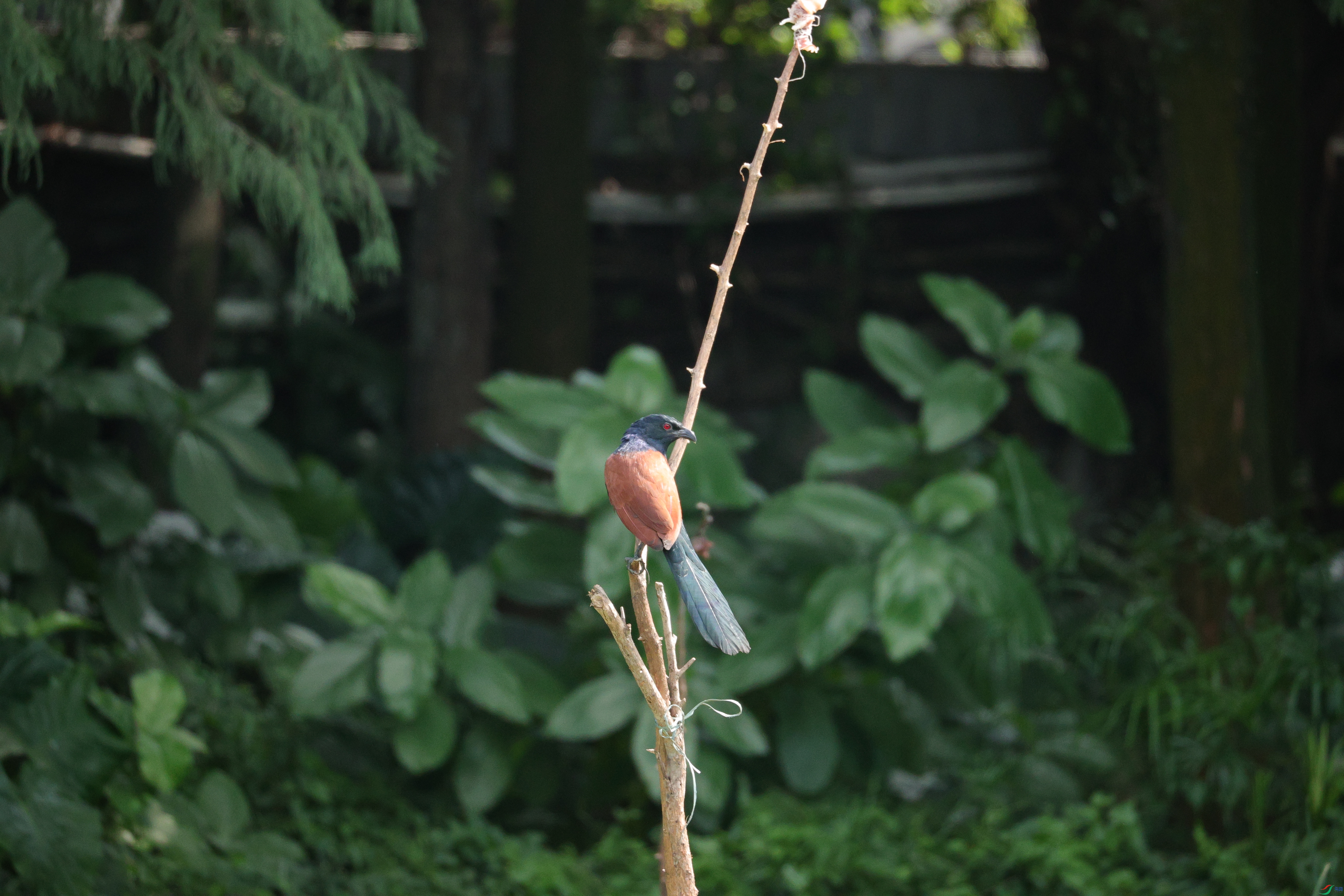 7507��ש����