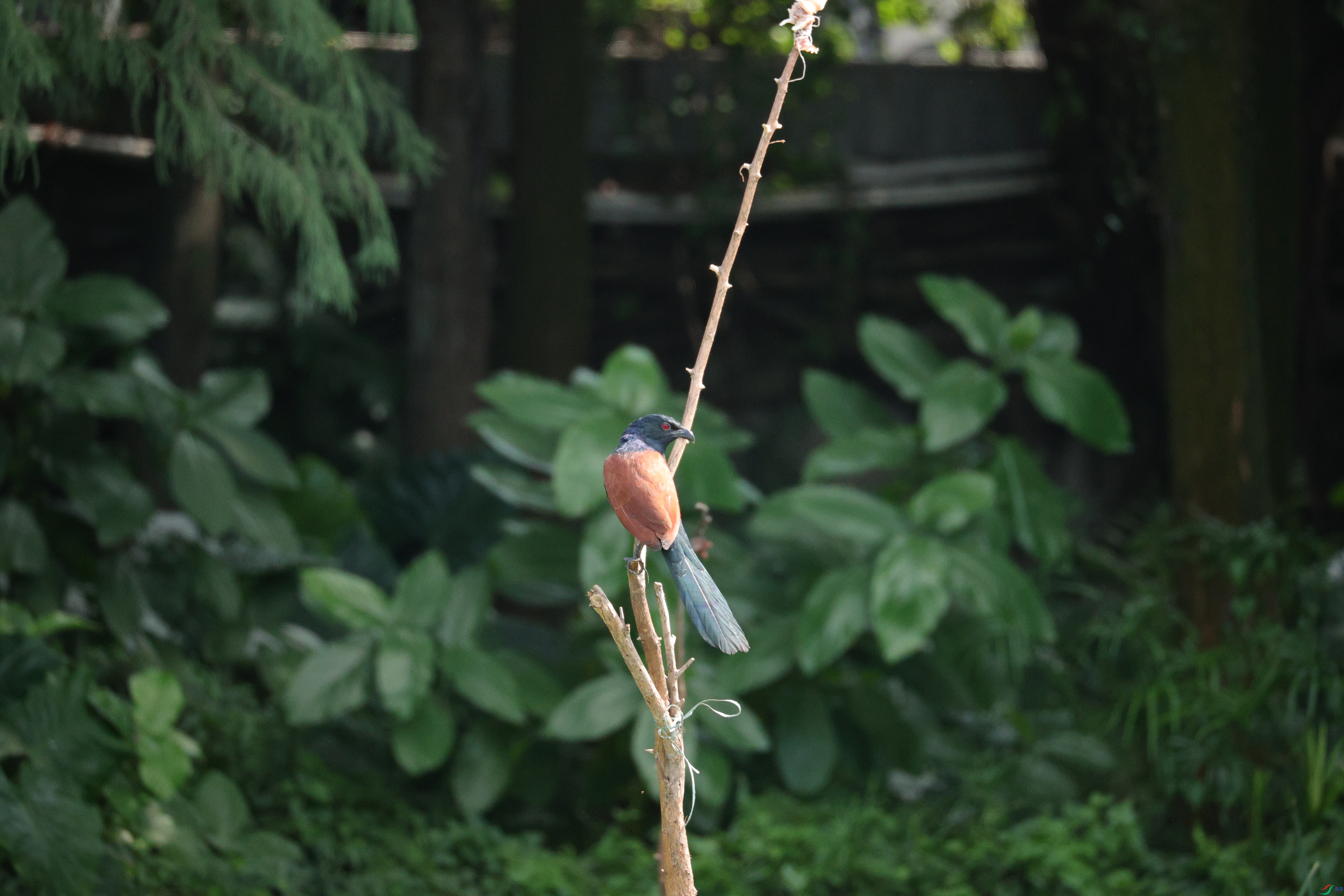 7509��ש����