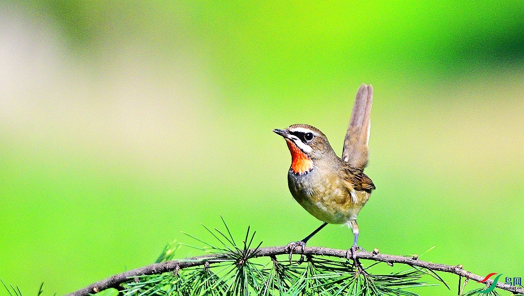 DSC_6735.JPG