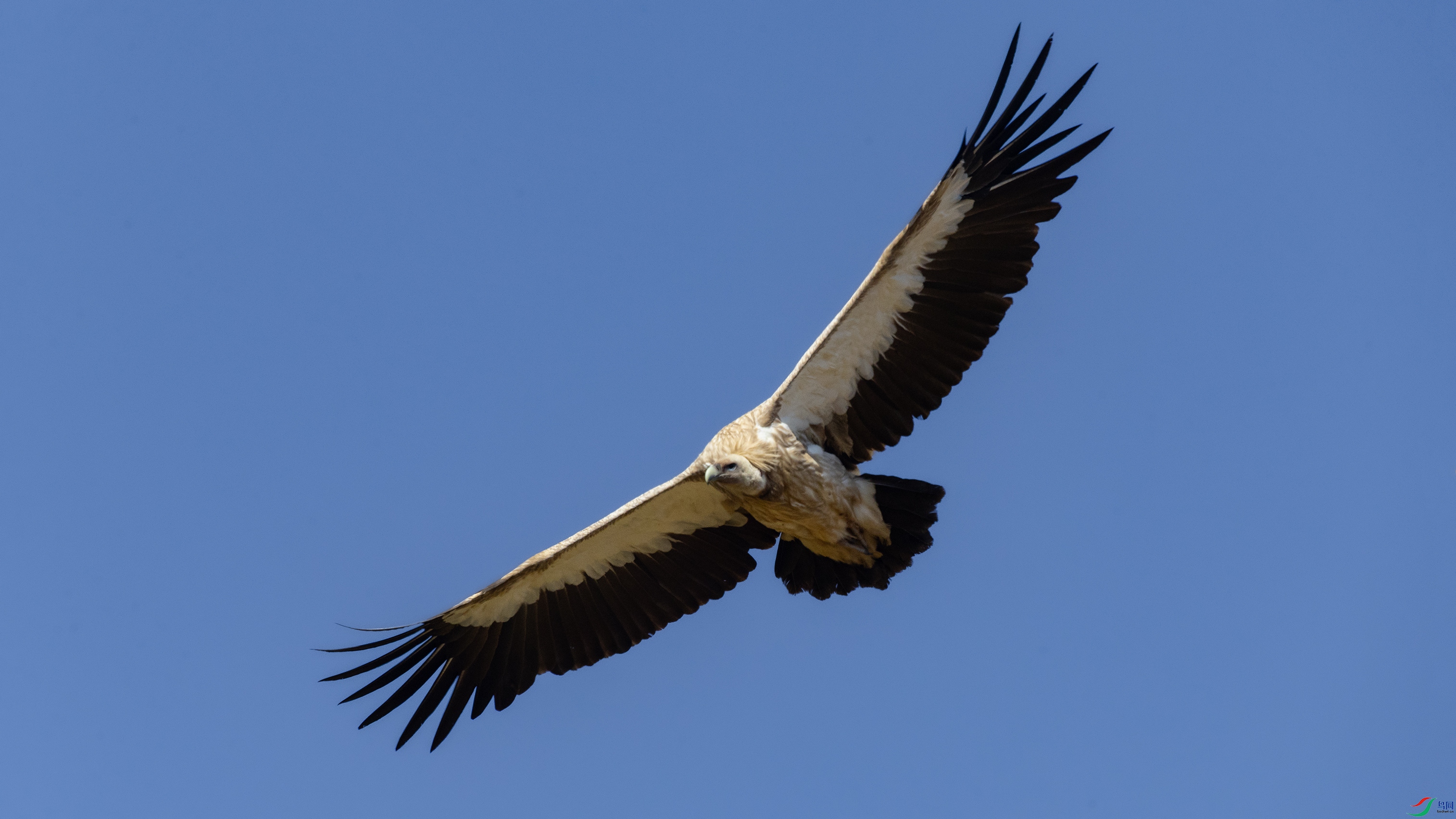 _O7A3010 ����4444.jpg