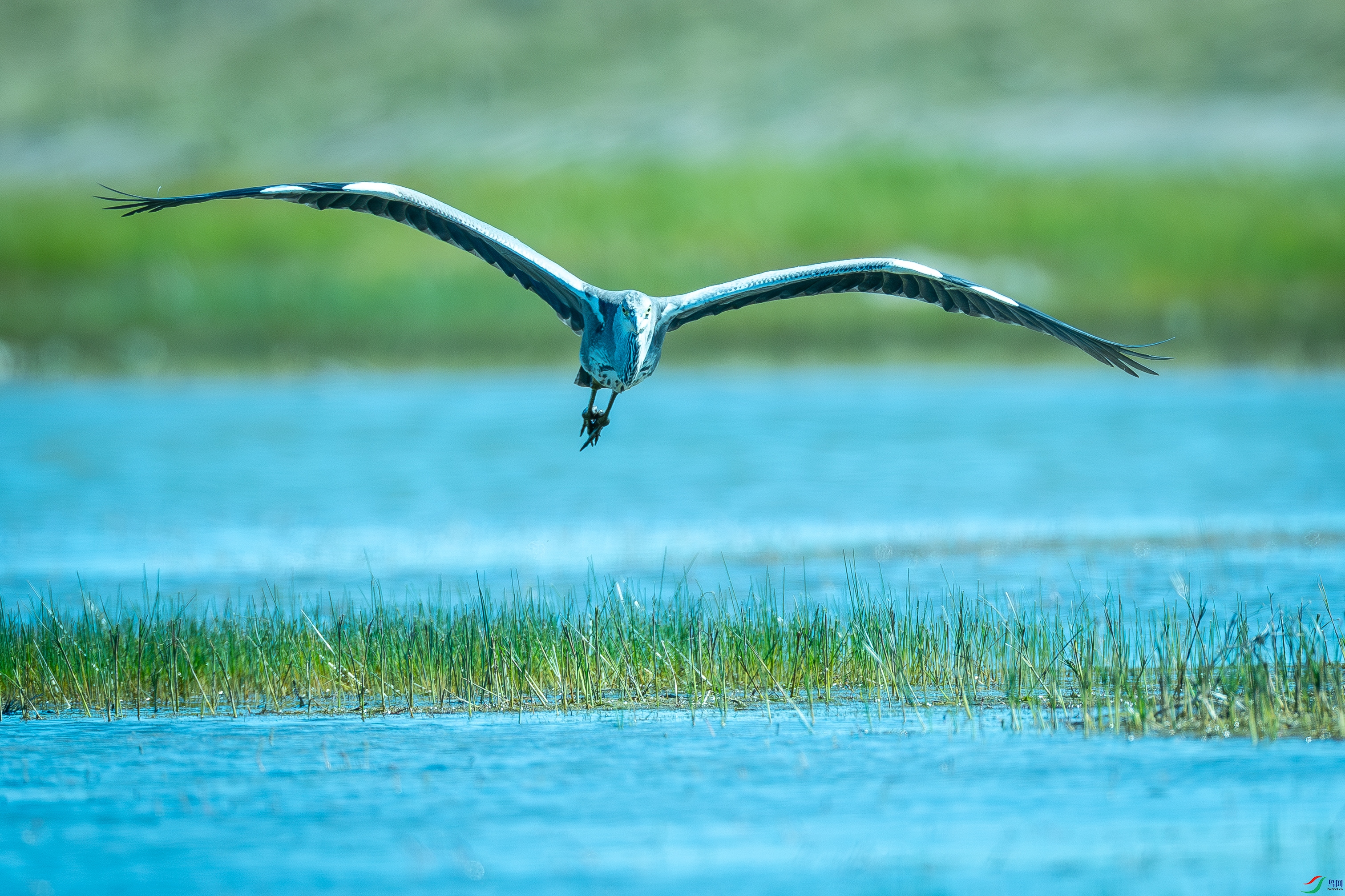 �������