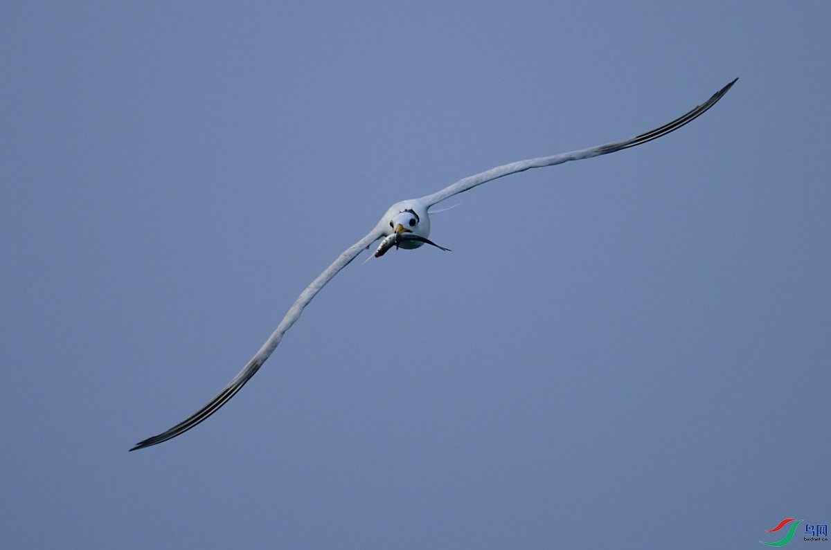 B11_0923.JPG
