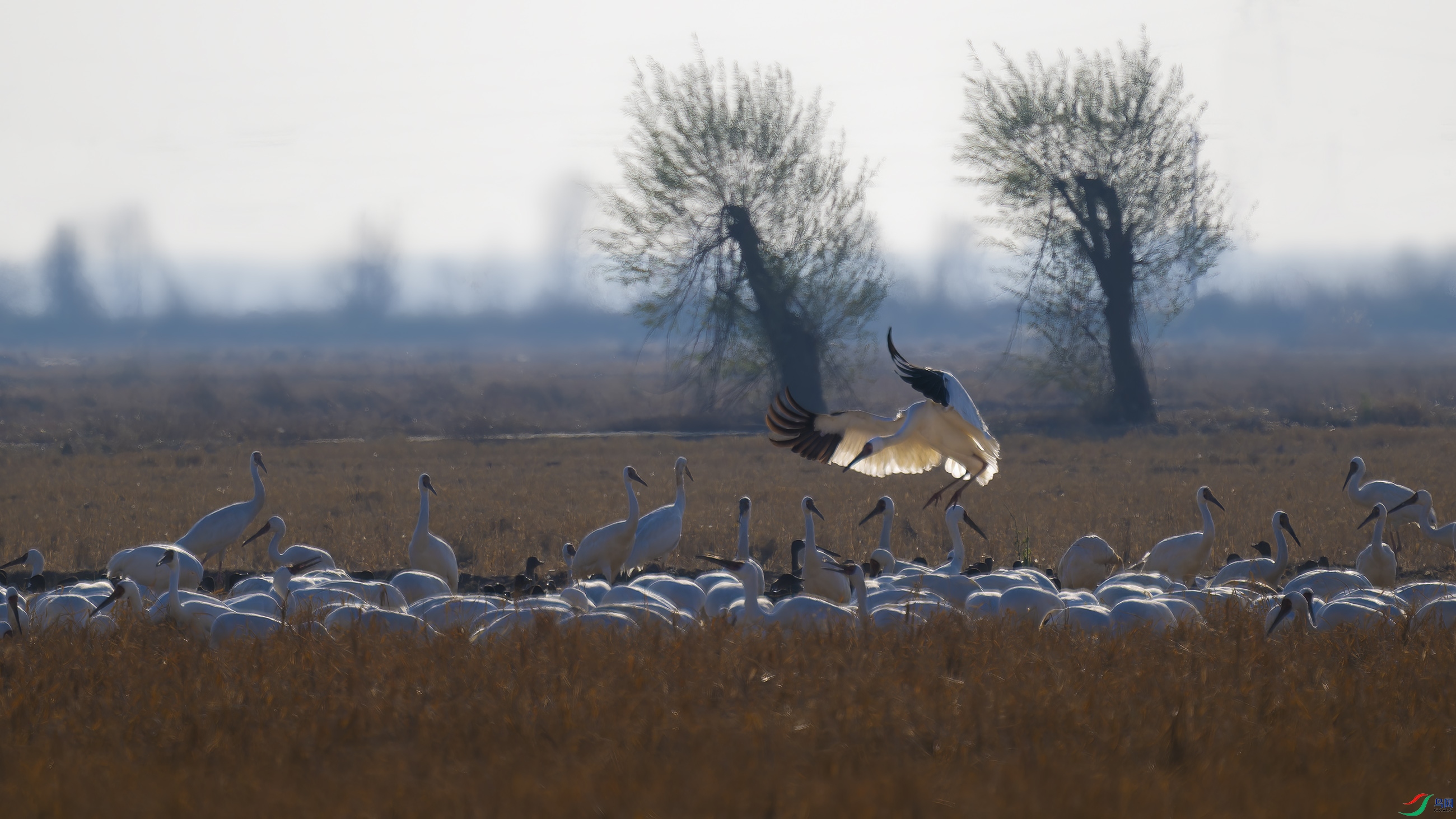 DSC_7846_DxO.jpg