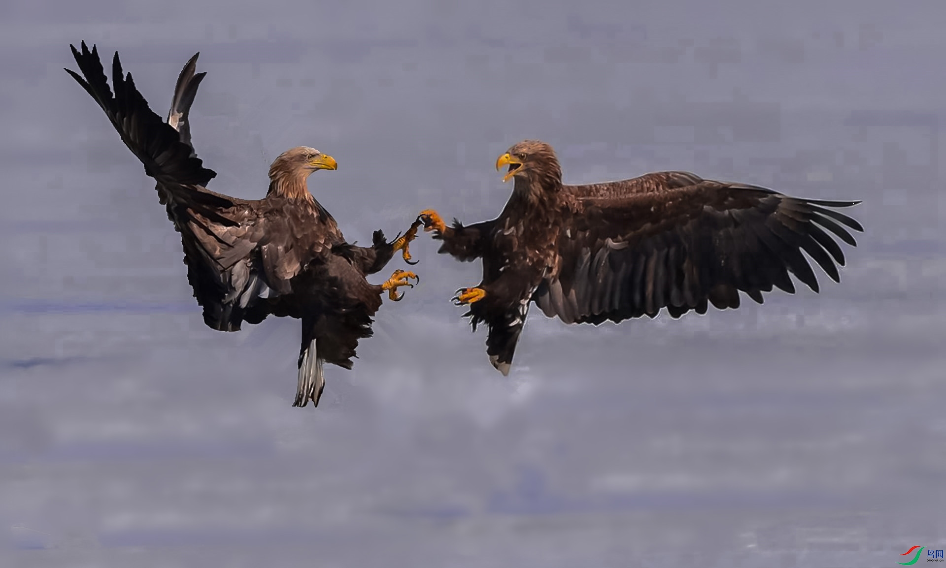 _DSC2592_.jpg