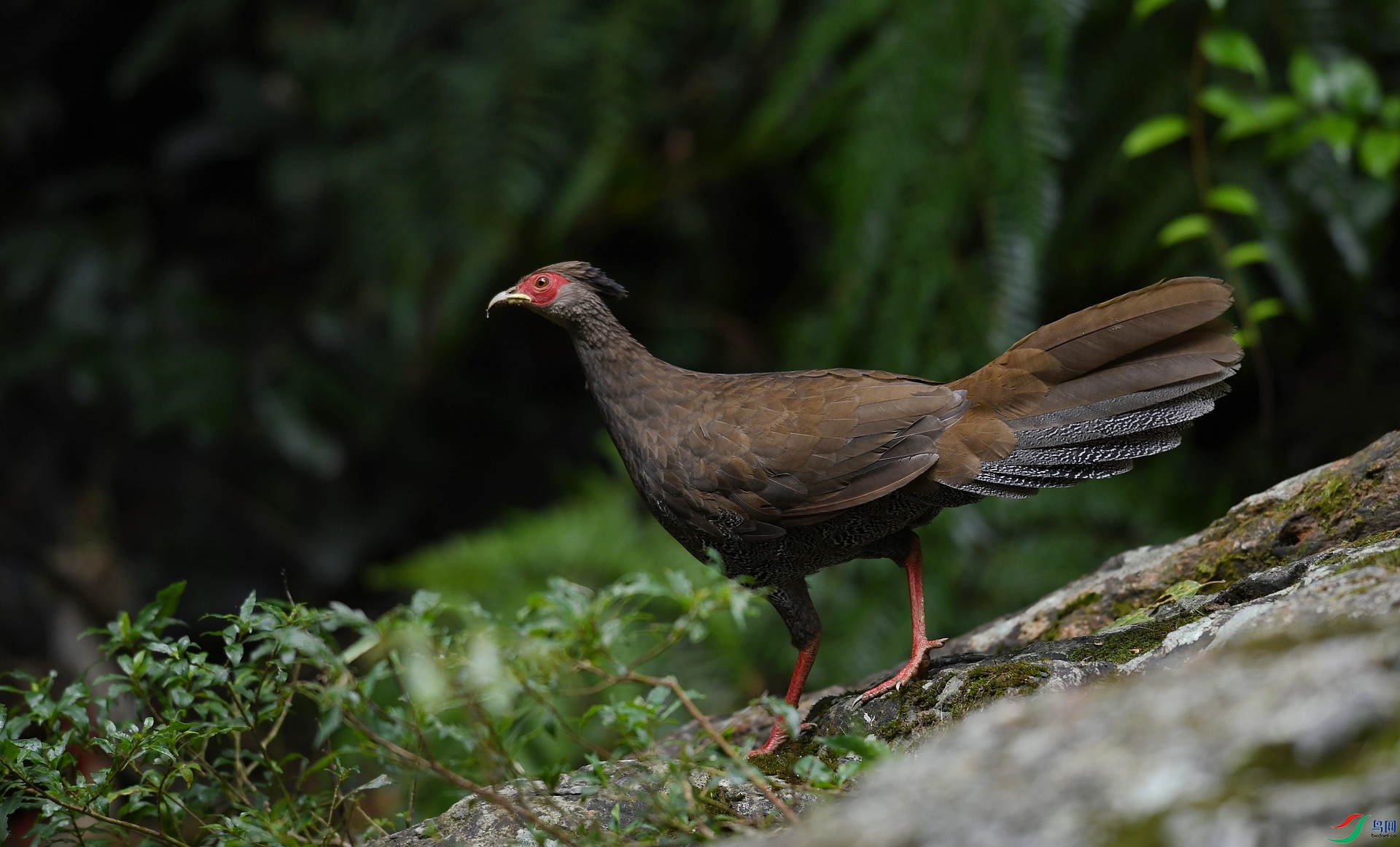 DSC_7413.jpg