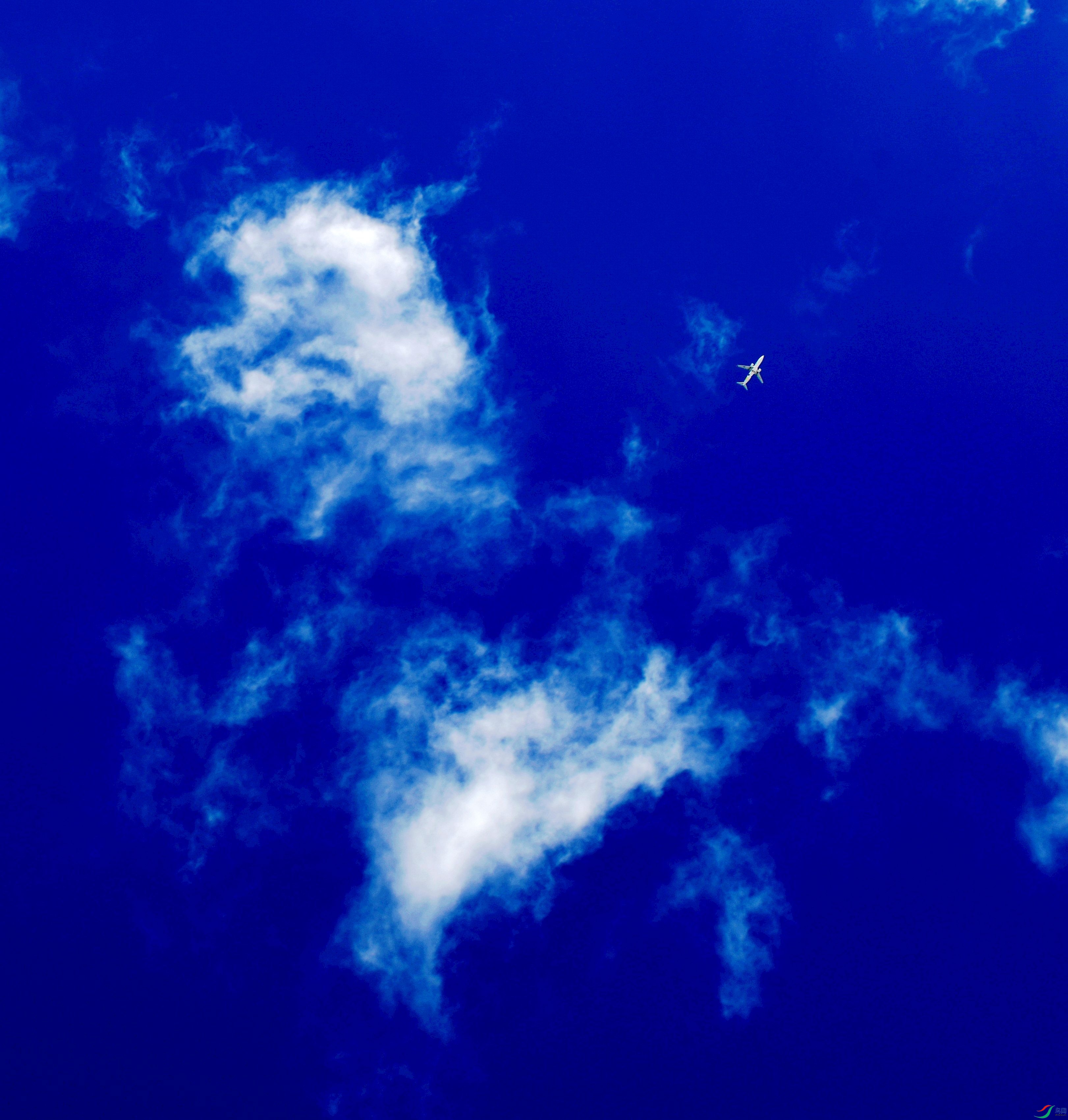 DSC_7910.jpg