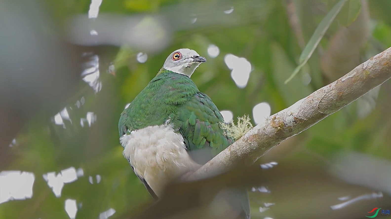 {1C29AA61-EAD2-4352-A291-32BE798036E2} ����.jpg