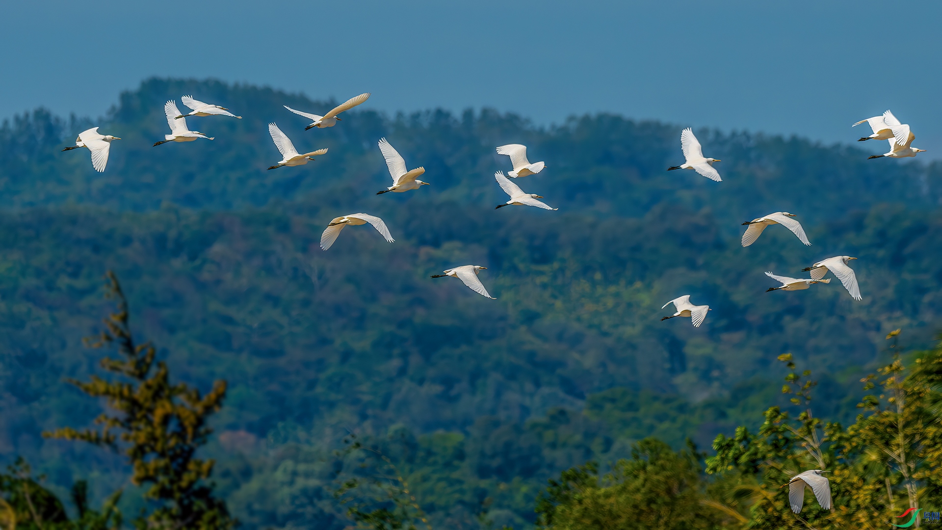 DSC_0027-����ǿ-NR.jpg