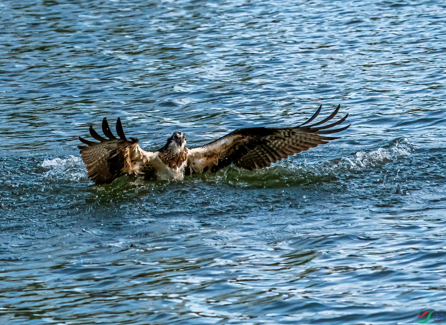DSC_1695-11.jpg