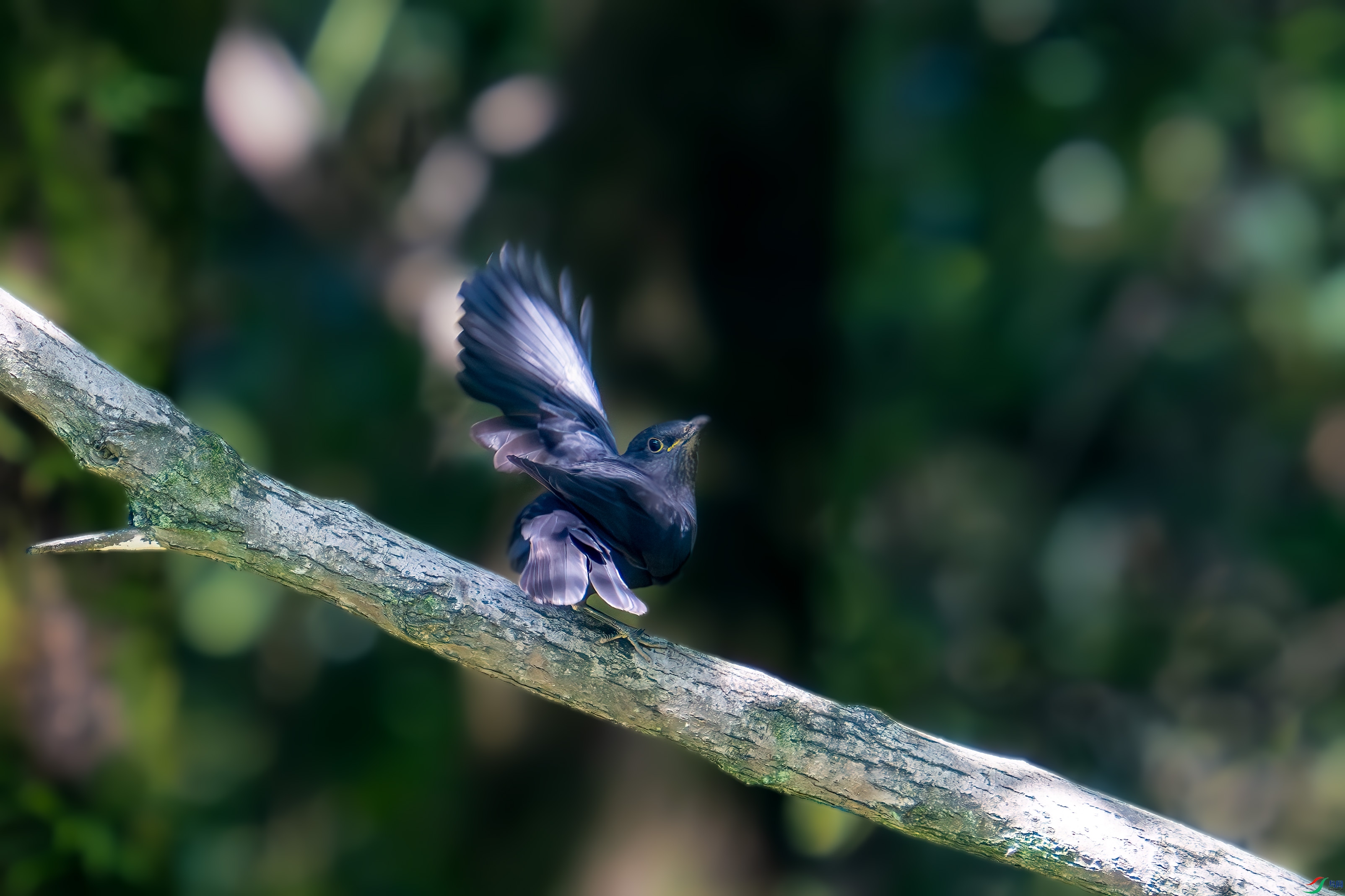 _DSC7860.jpg