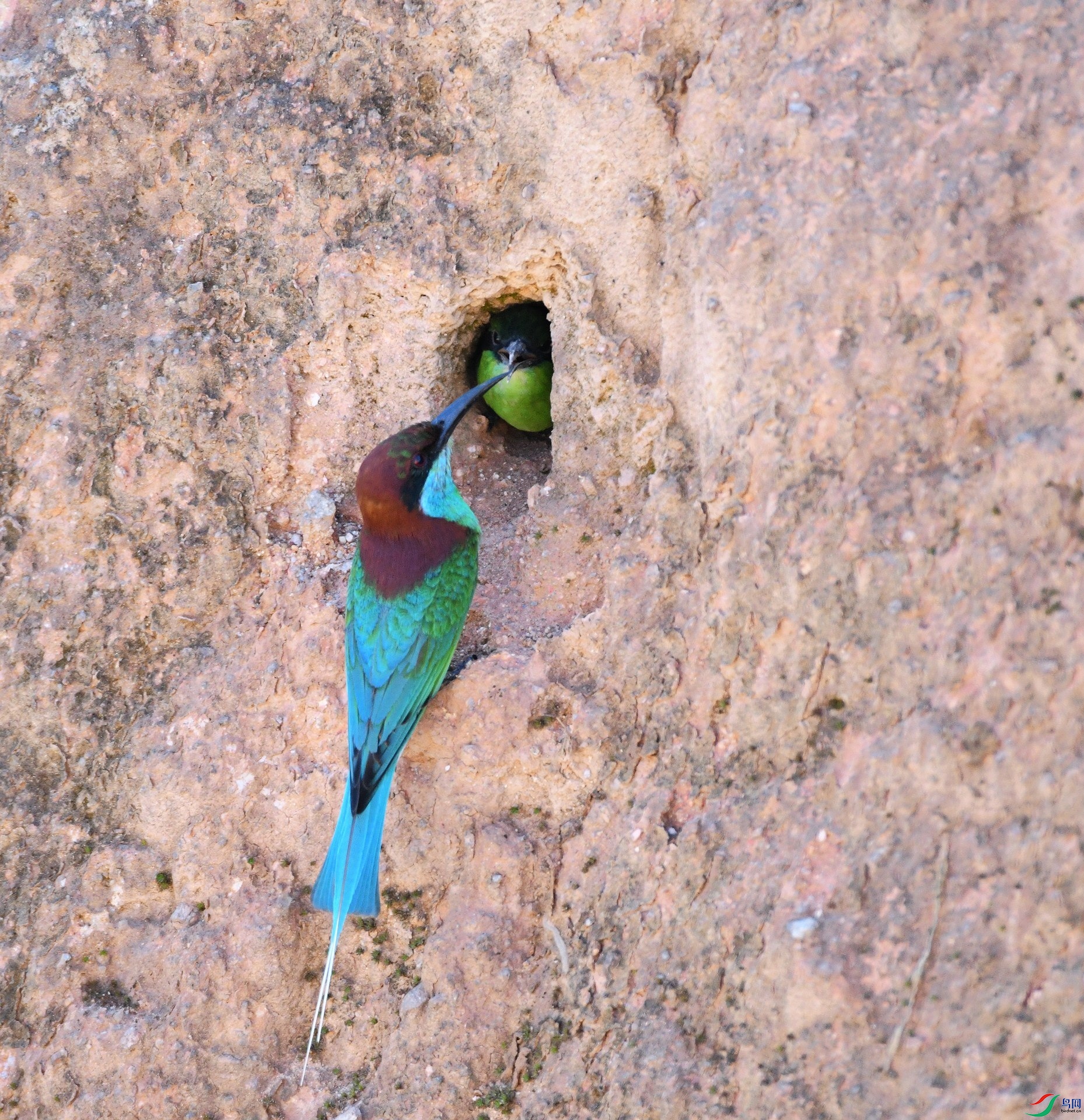 DSC_8092.jpg