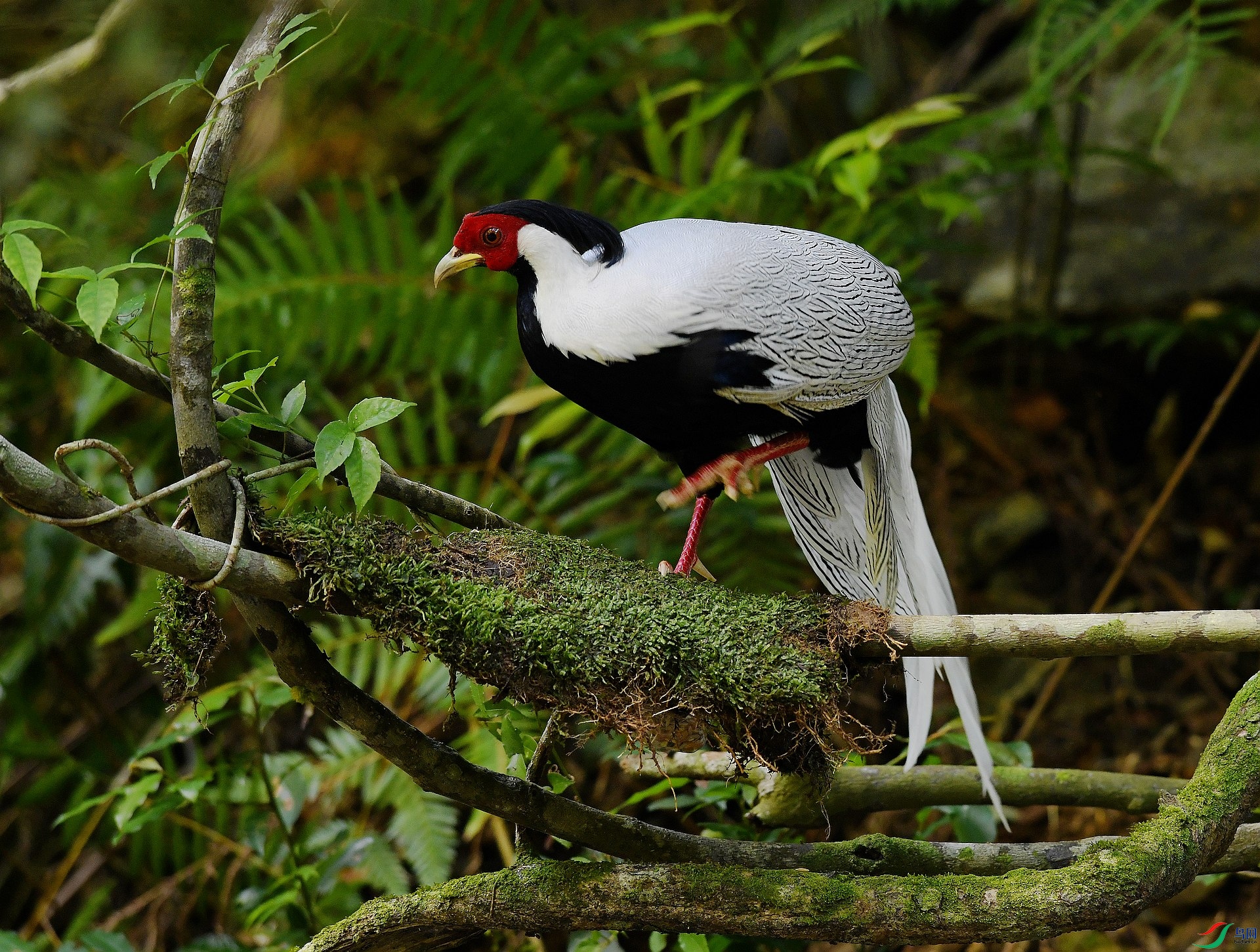 DSC_4442.jpg