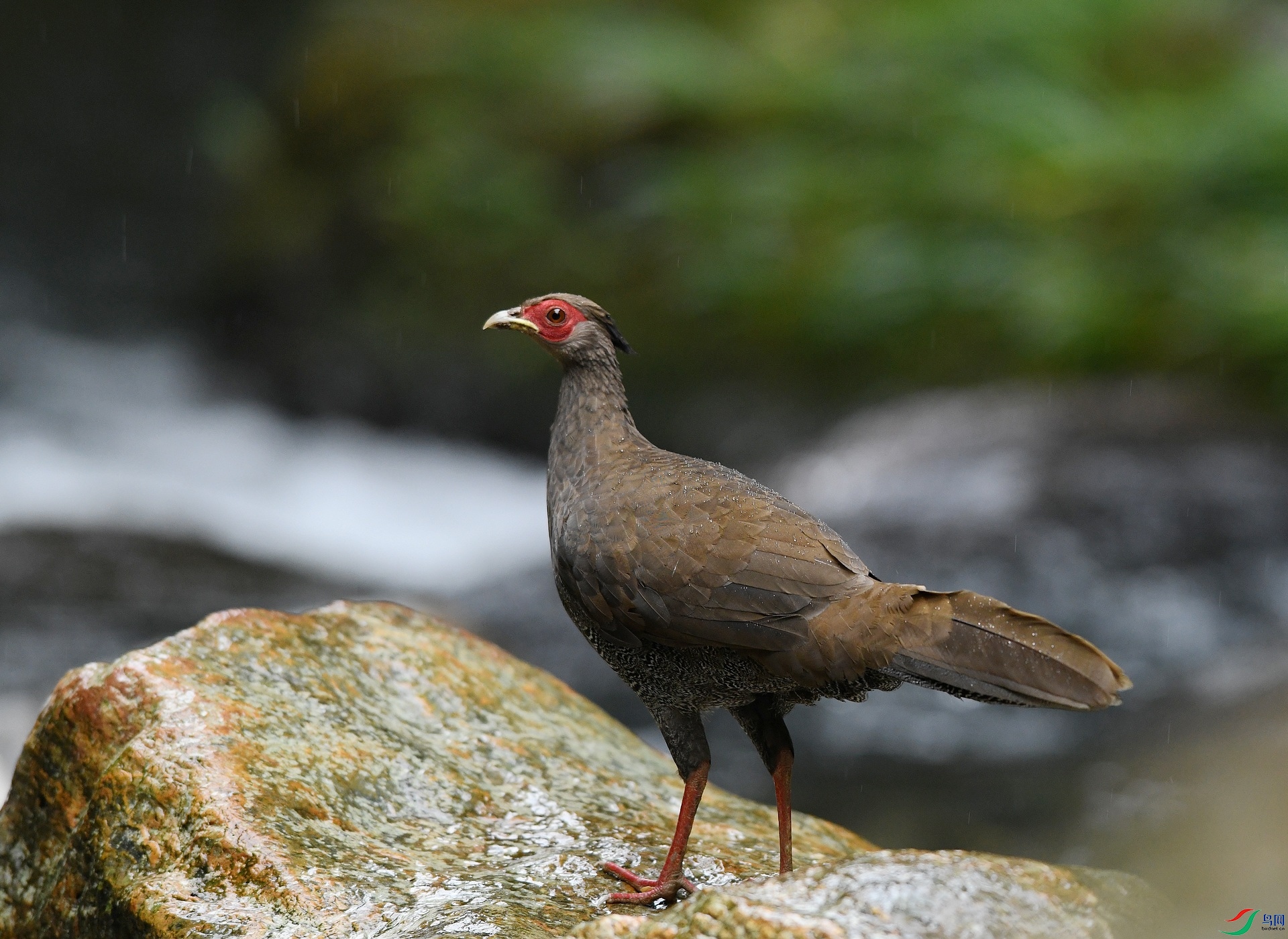 DSC_7472.jpg