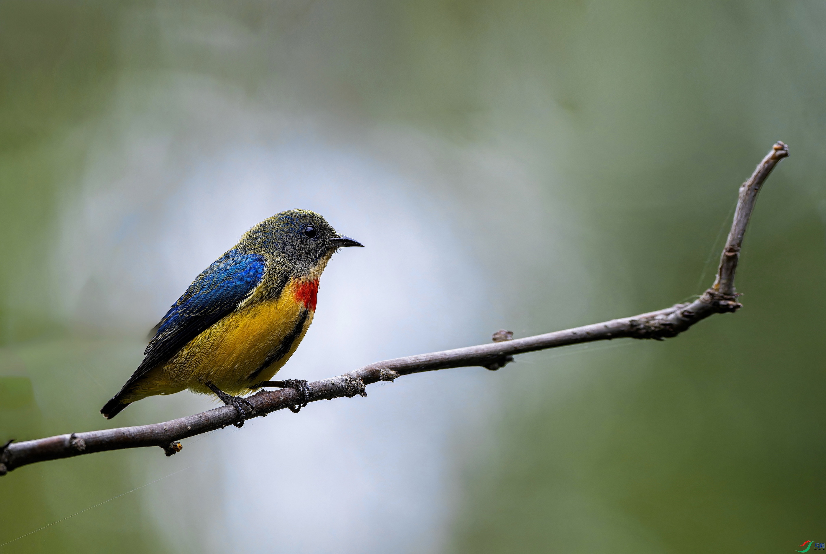 �����Ļ��� (1)-01.jpg