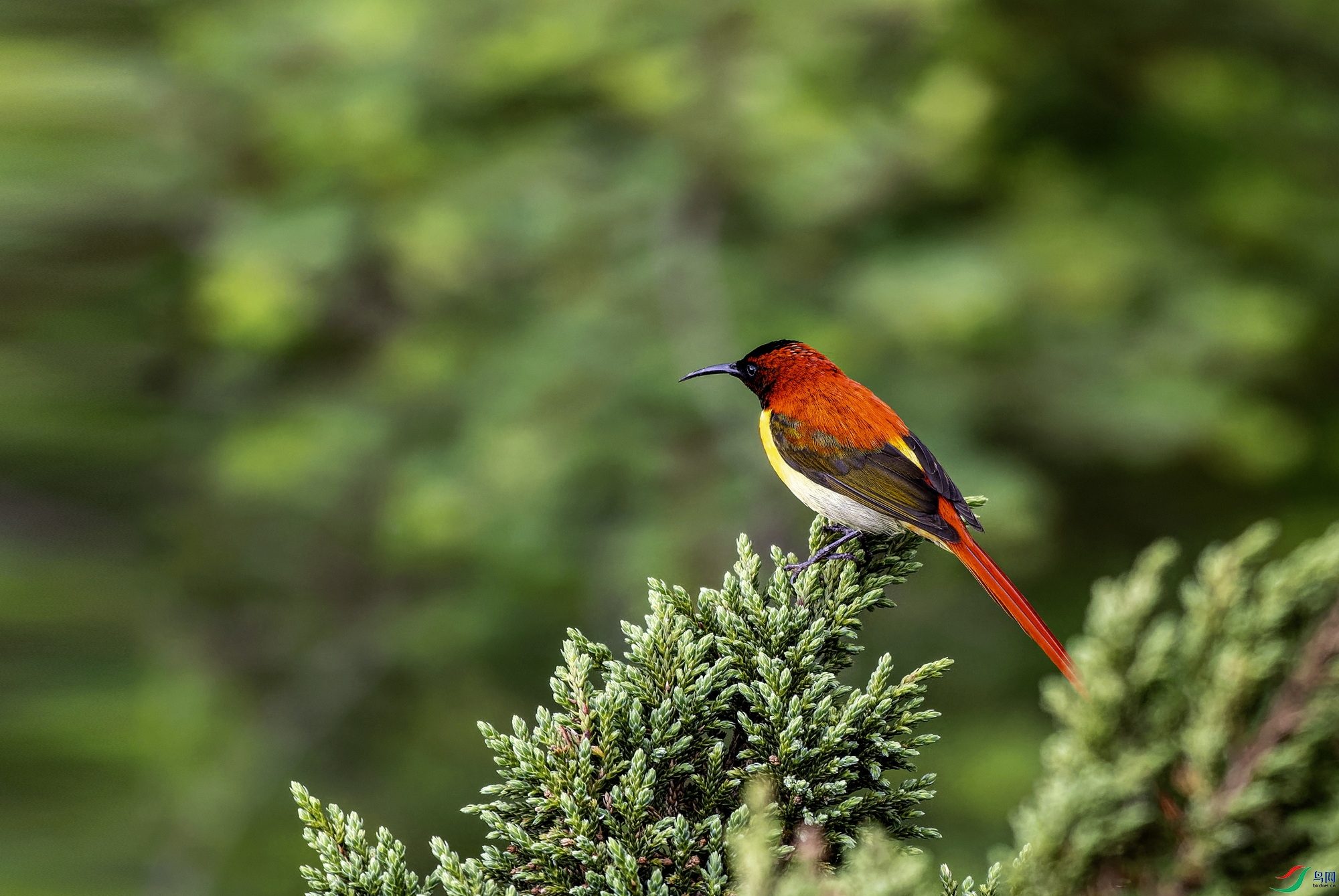 ��β̫���� (2)-01.jpg