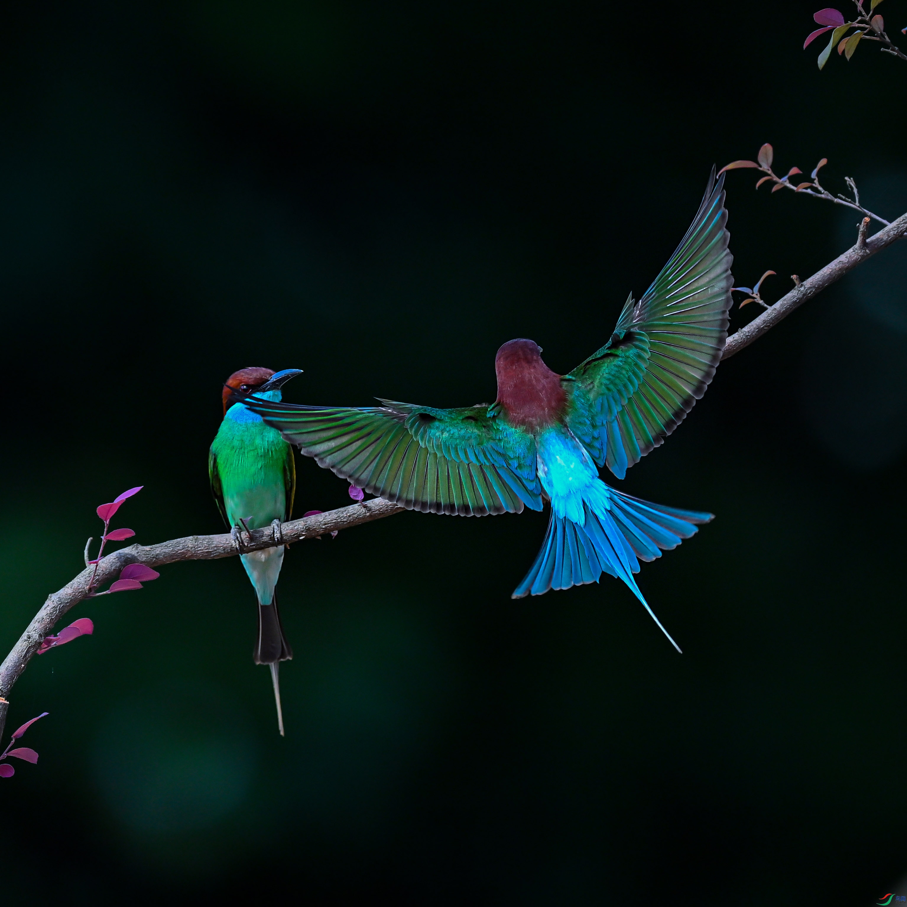 DSC_0493.jpg