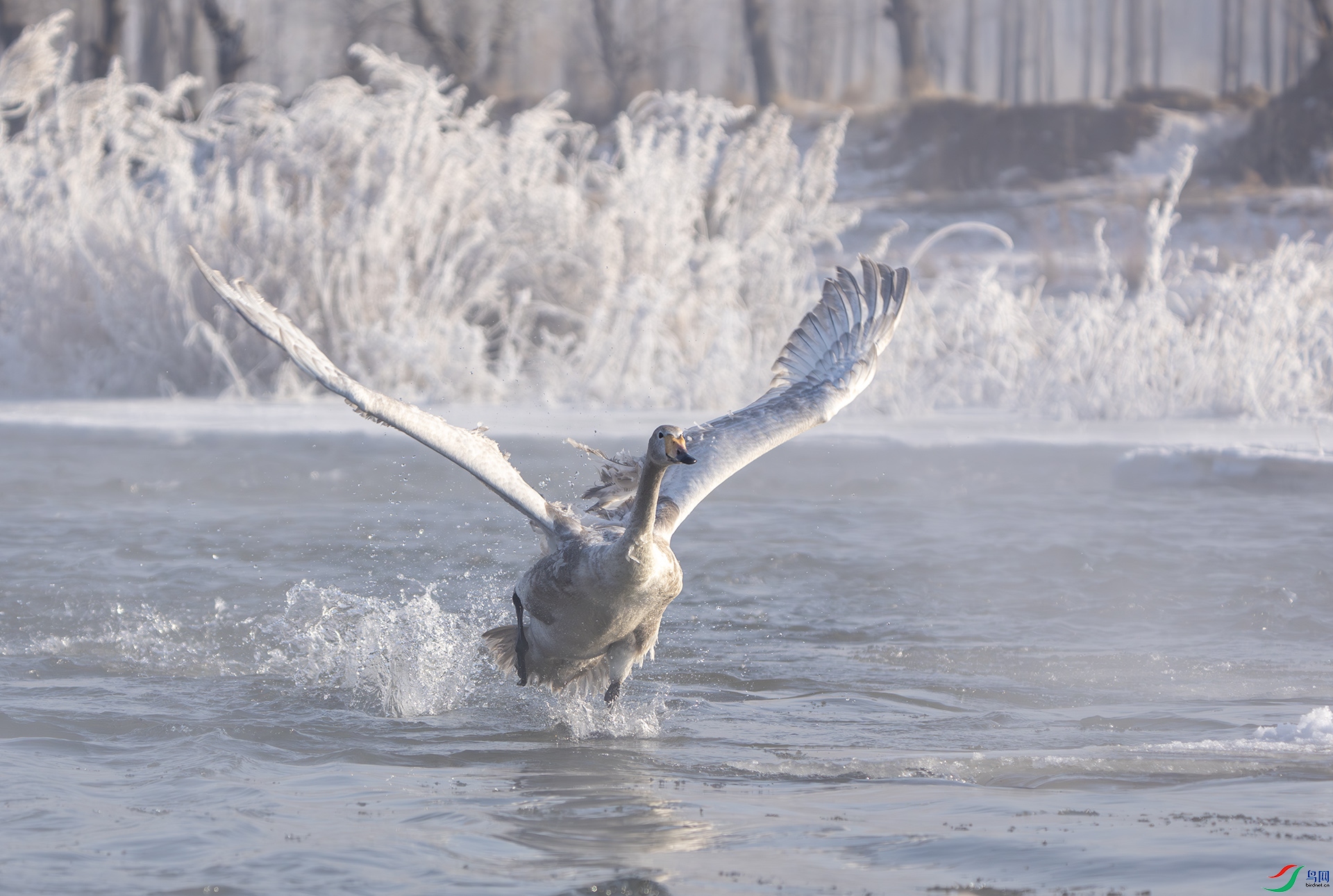 DSC06779-����ǿ-NR ����.jpg