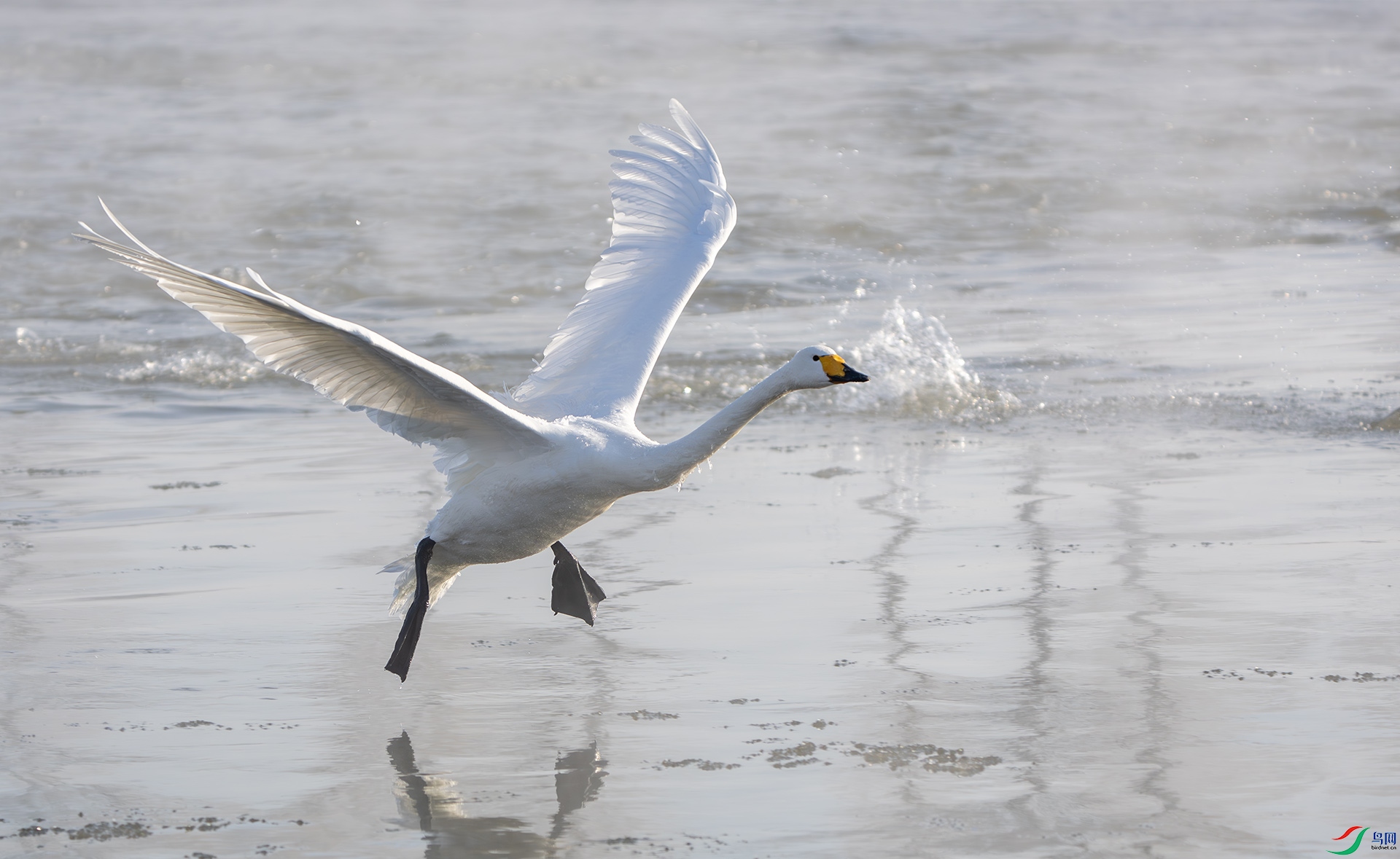 DSC06802-����ǿ-NR ����.jpg