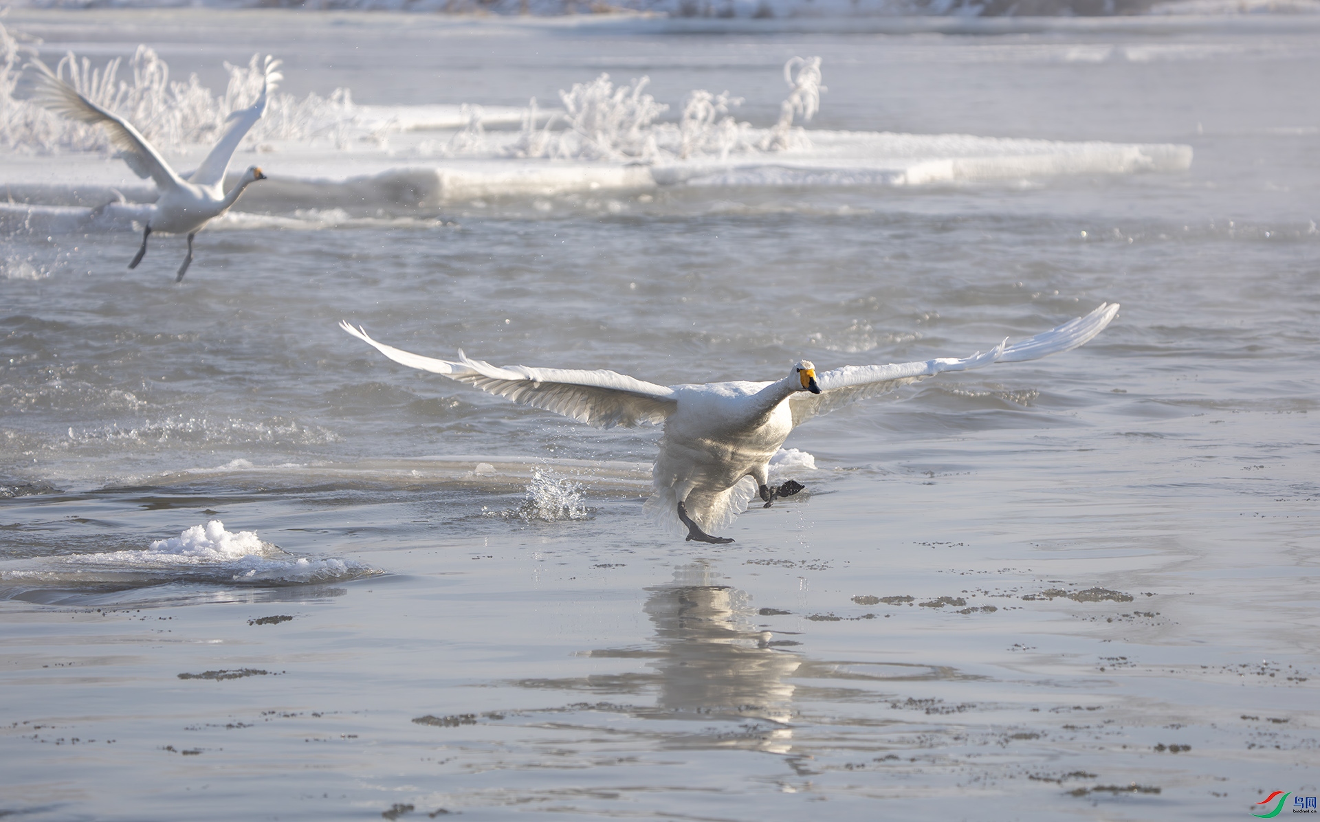 DSC06841-����ǿ-NR ����.jpg