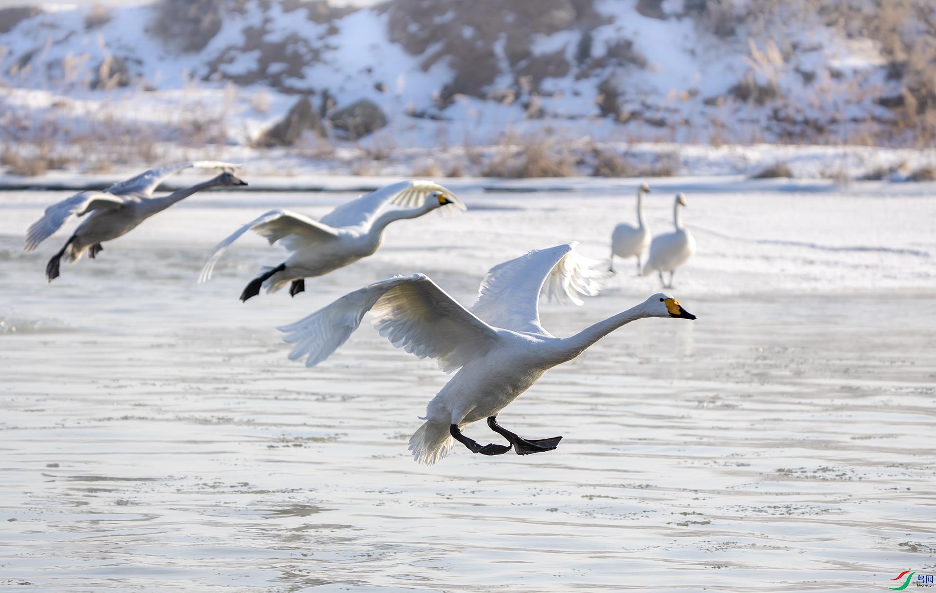 DSC06882-����ǿ-NR ����.jpg