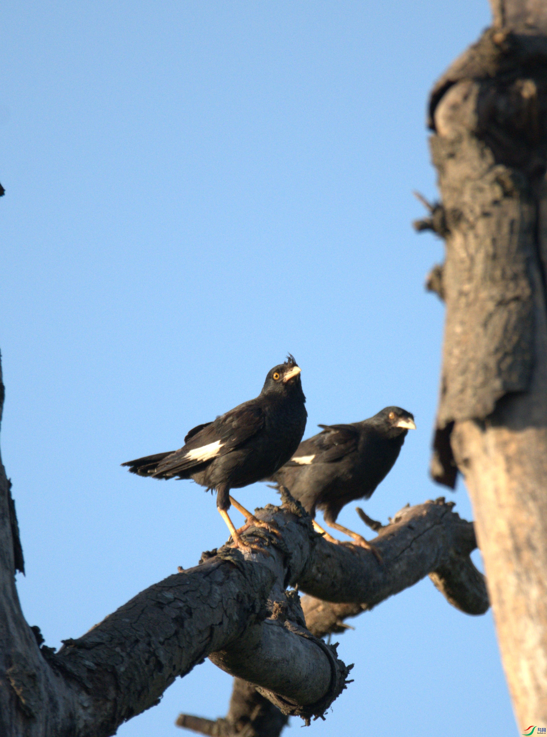 DSC_0514.jpg