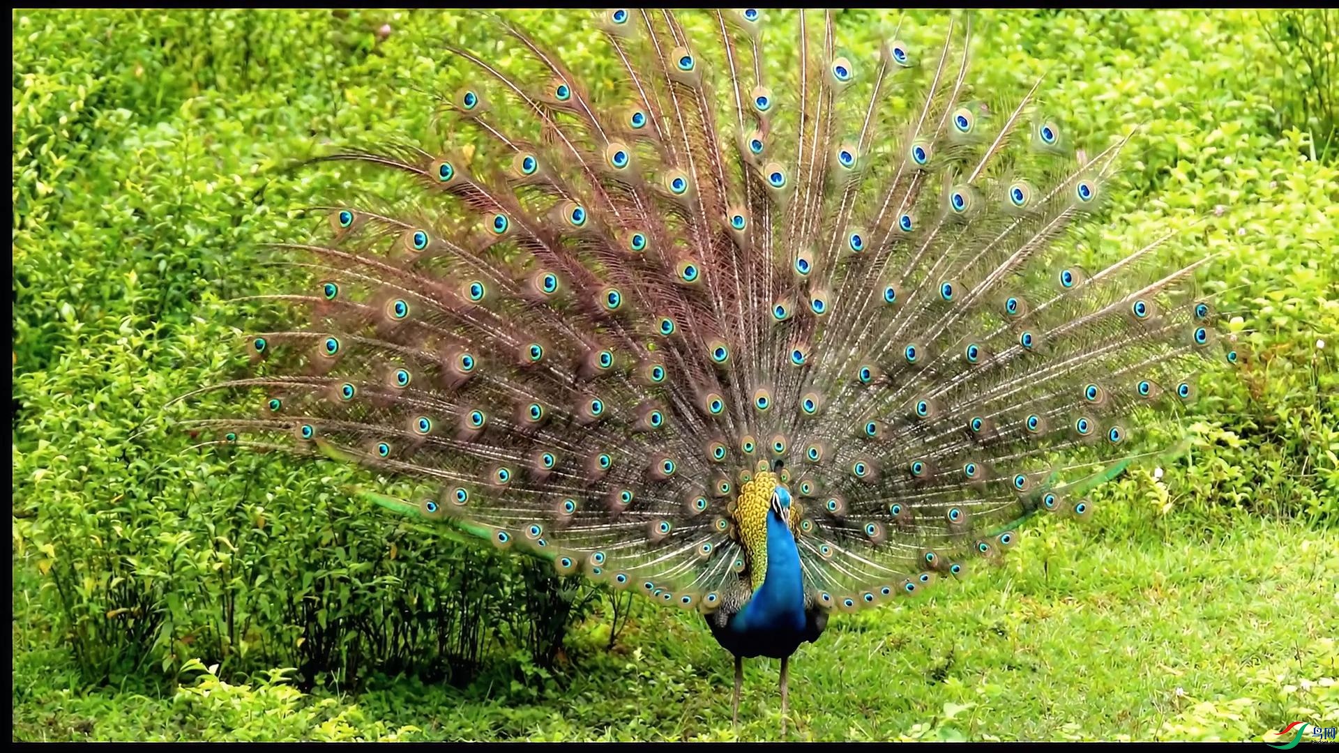 ��ȸ����