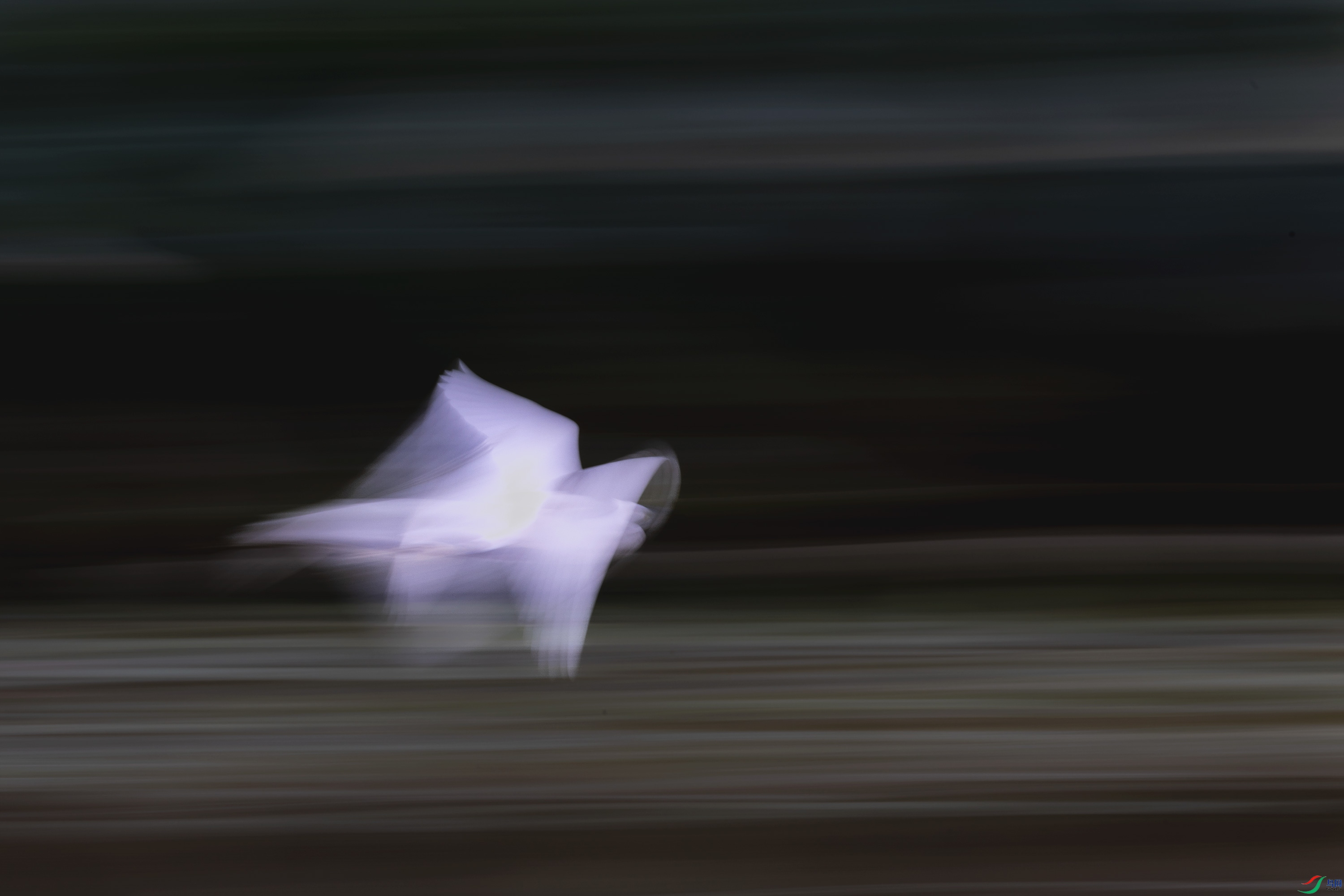 278A3635.jpg