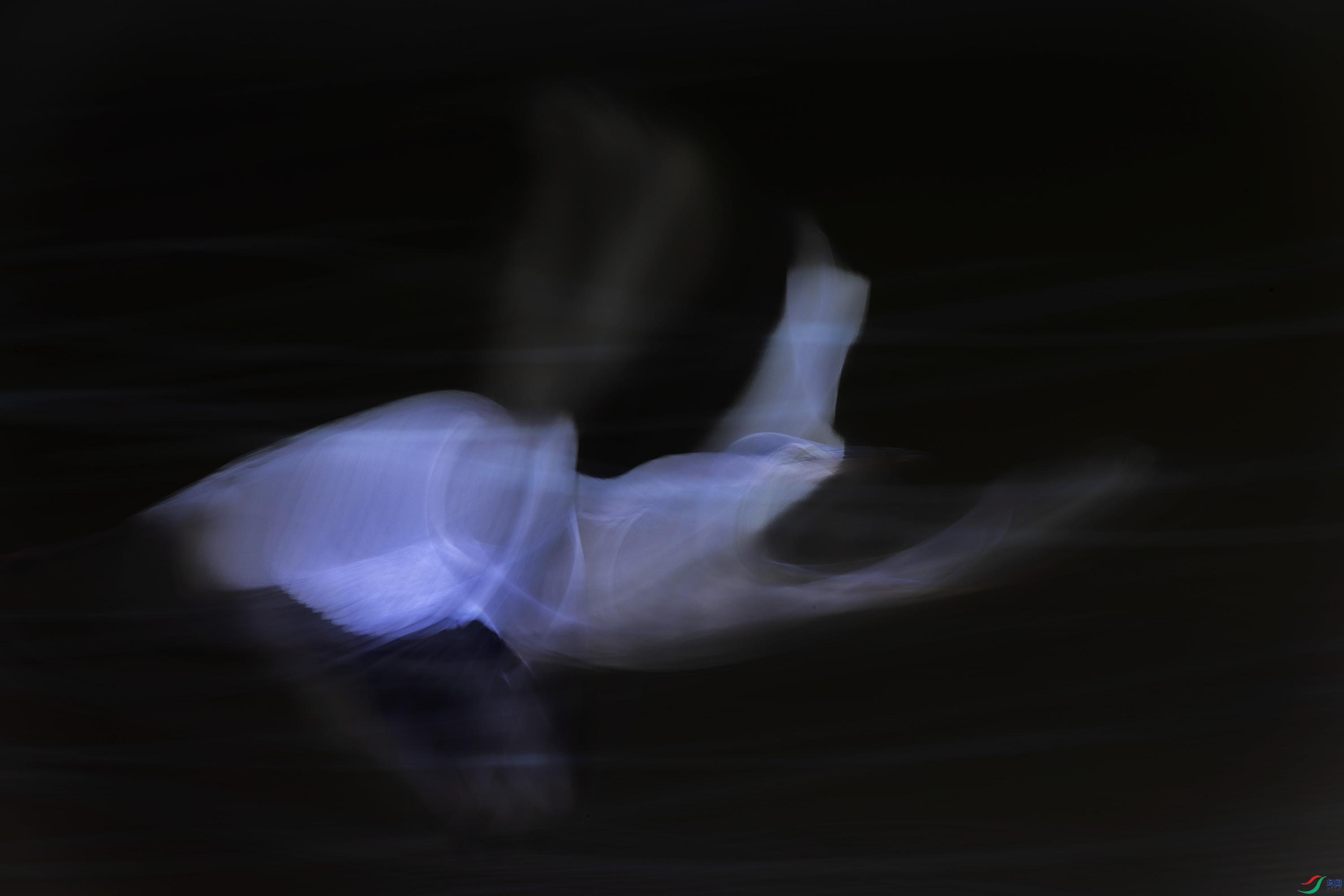 278A3654.jpg