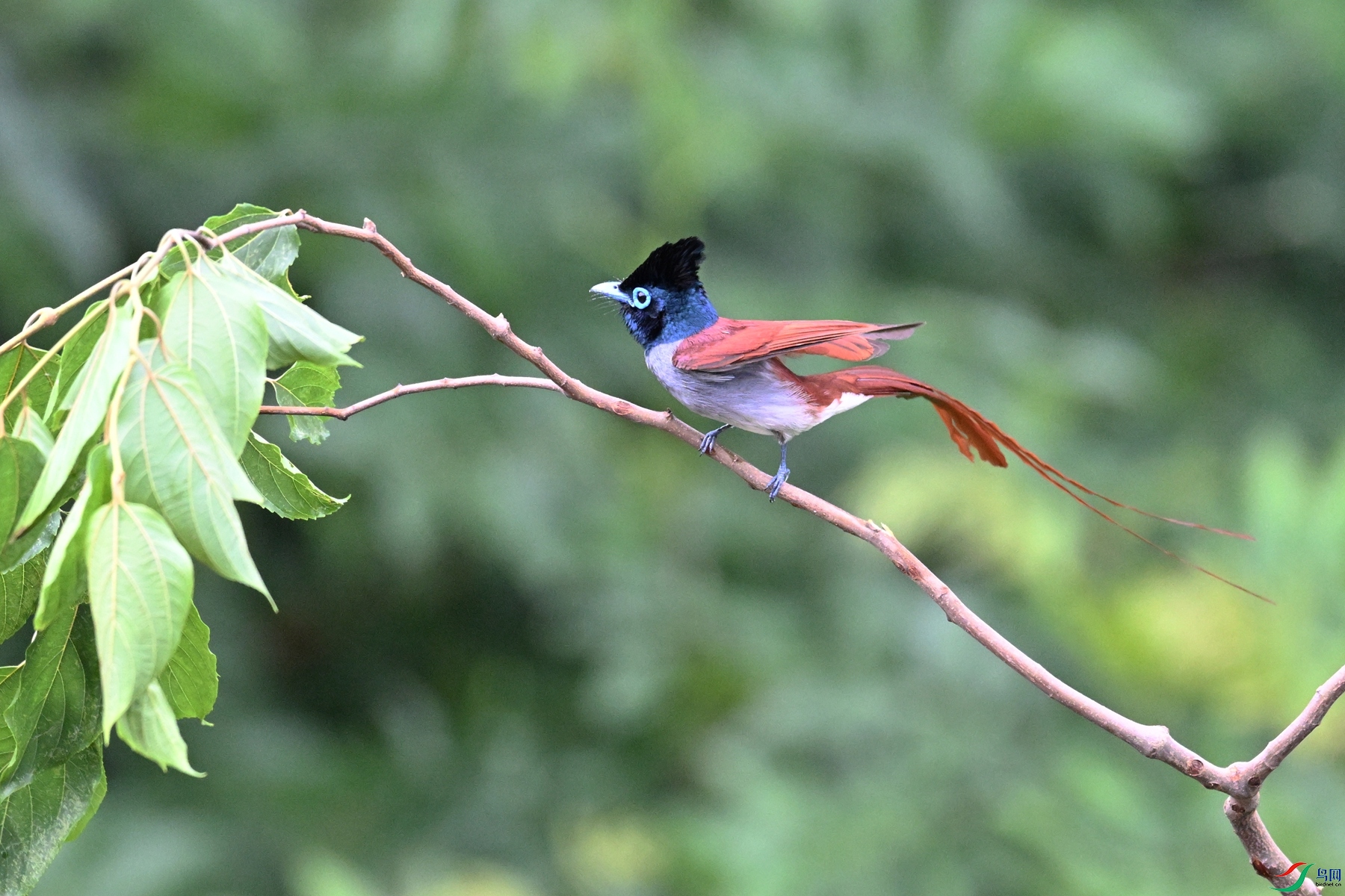 DSC_5823.JPG