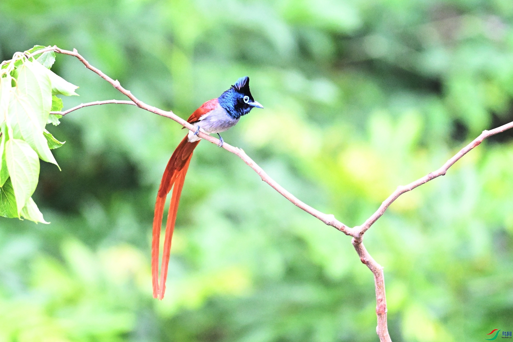 DSC_5885.JPG