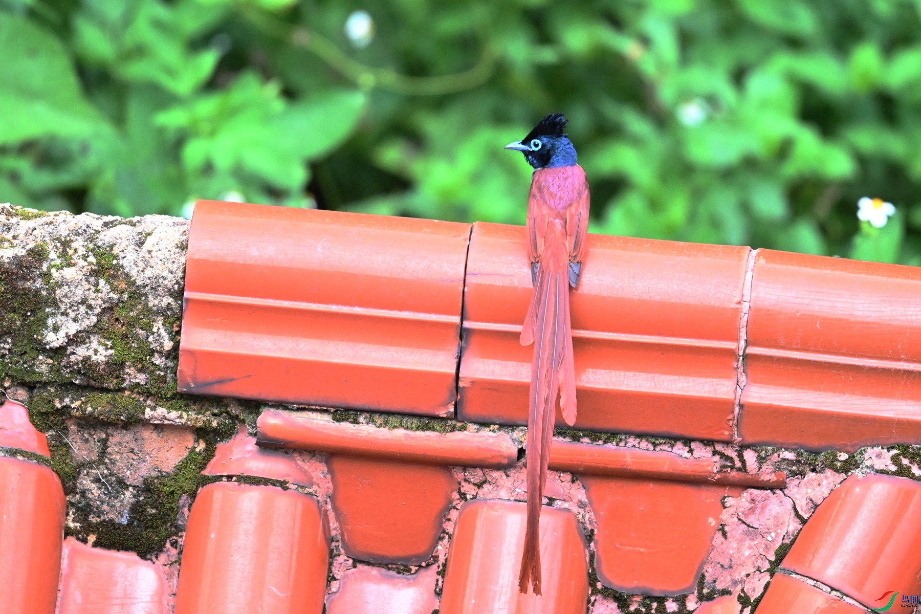 DSC_5920.JPG
