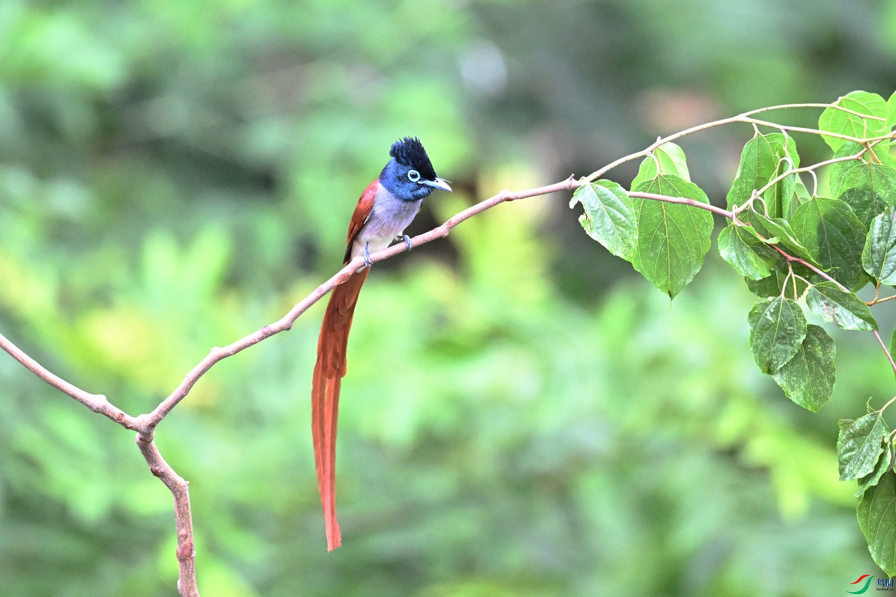 DSC_5856.JPG
