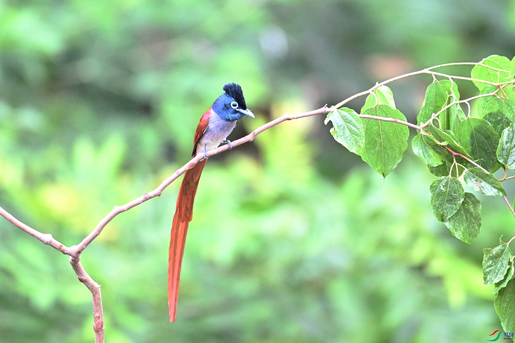 DSC_5858.JPG