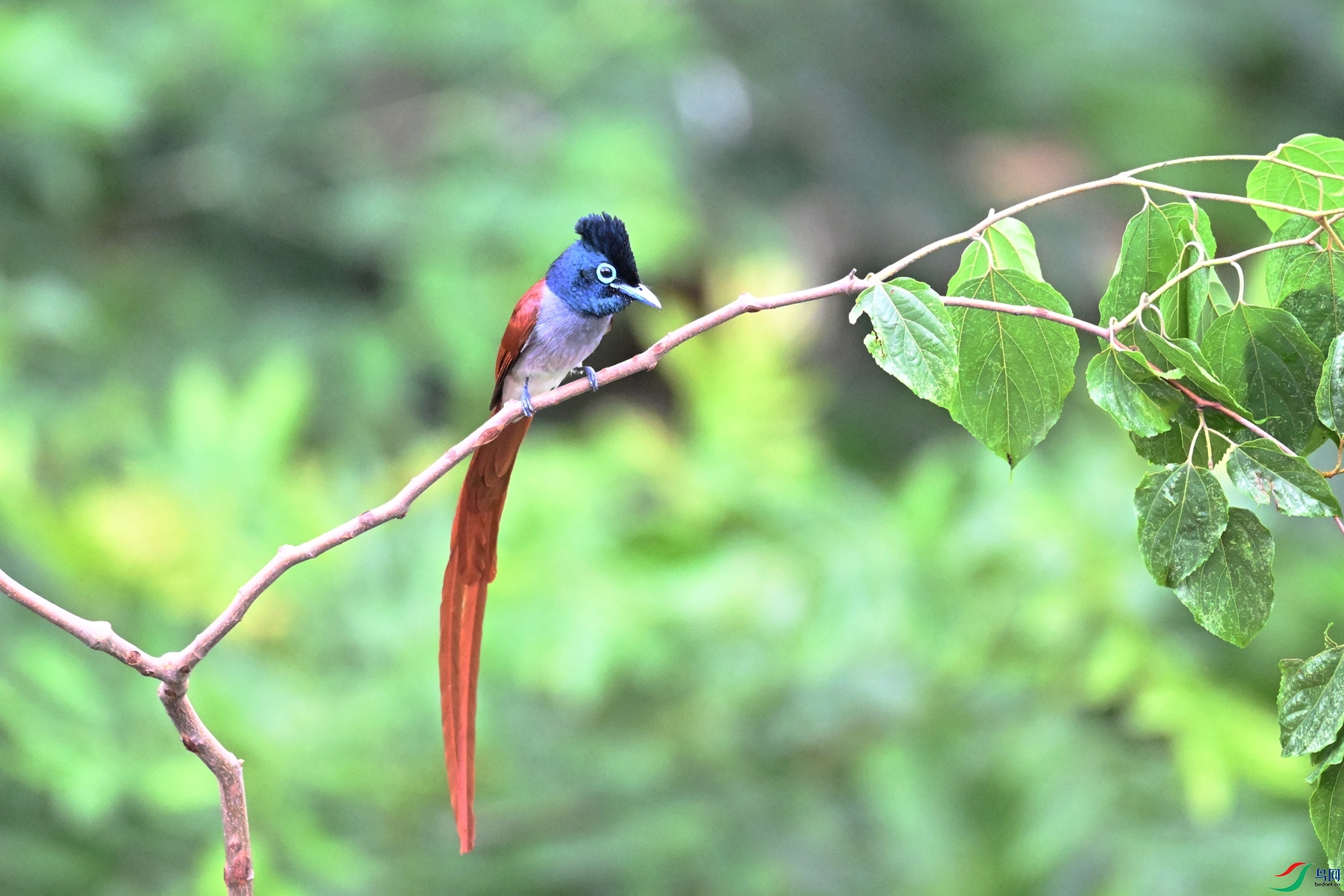 DSC_5860.JPG