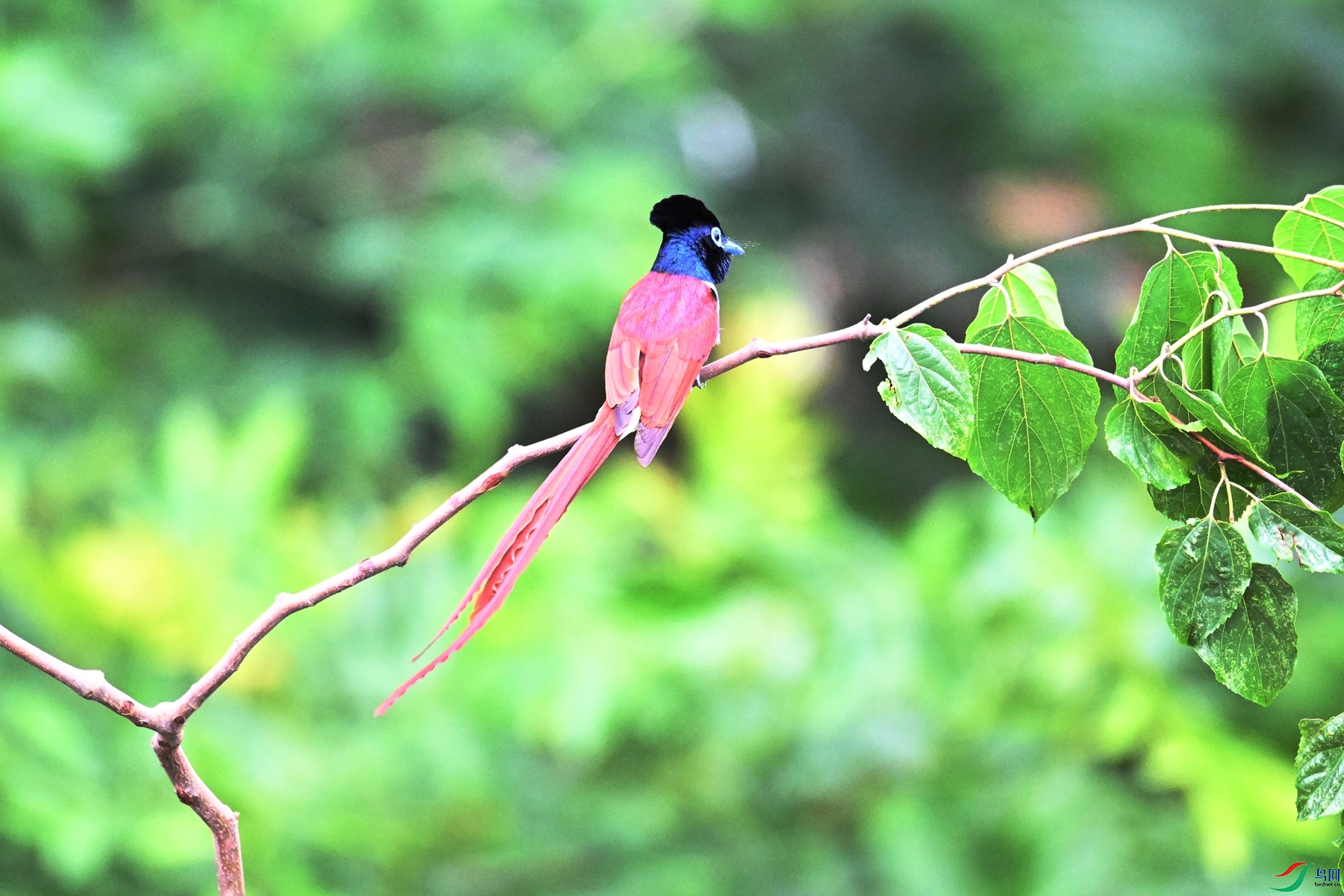 DSC_5863.JPG
