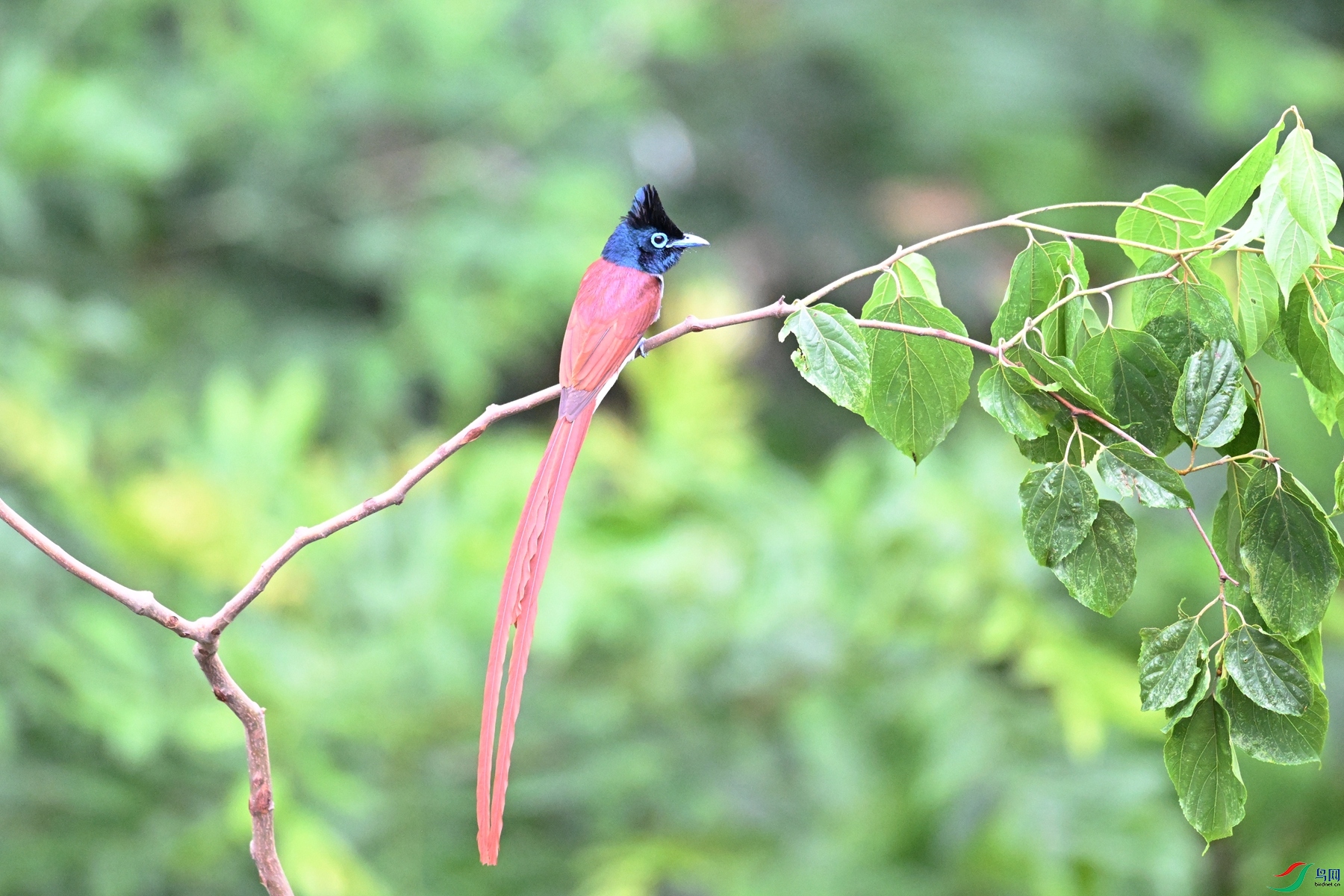 DSC_5867.JPG
