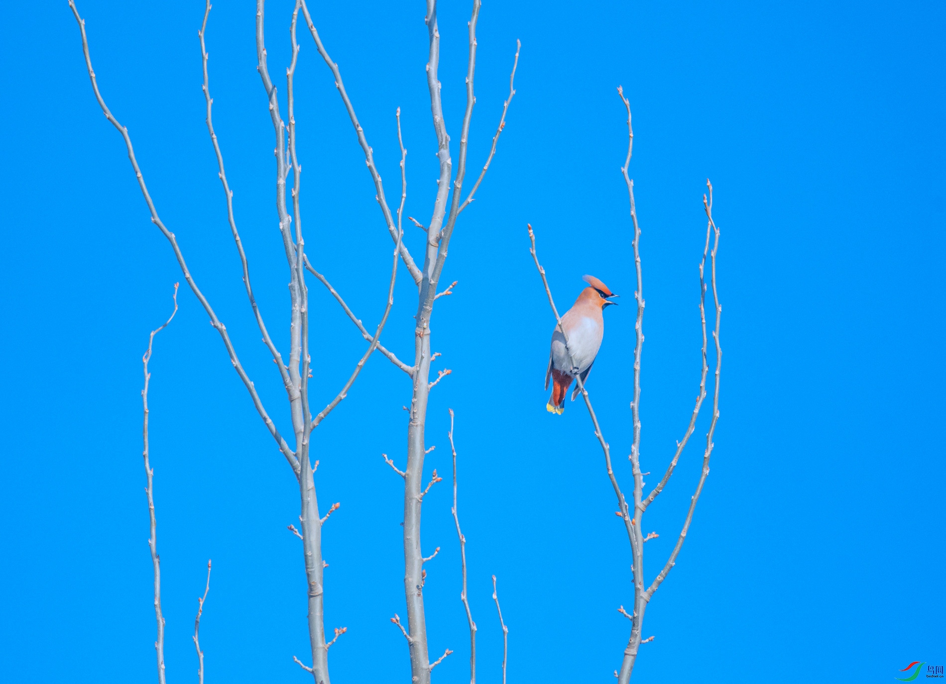 DSC_3636_��ͼ�� ����.jpg