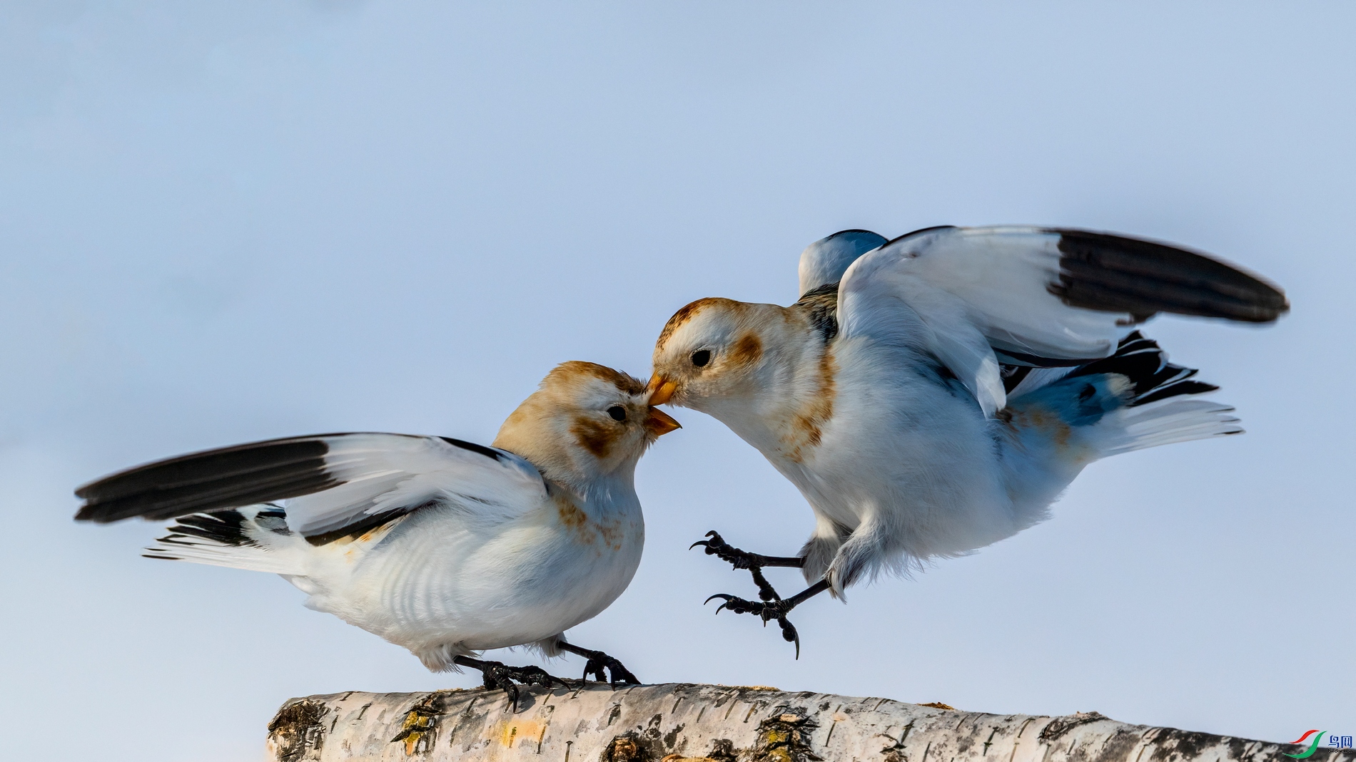 DSC_2900 ����01.jpg