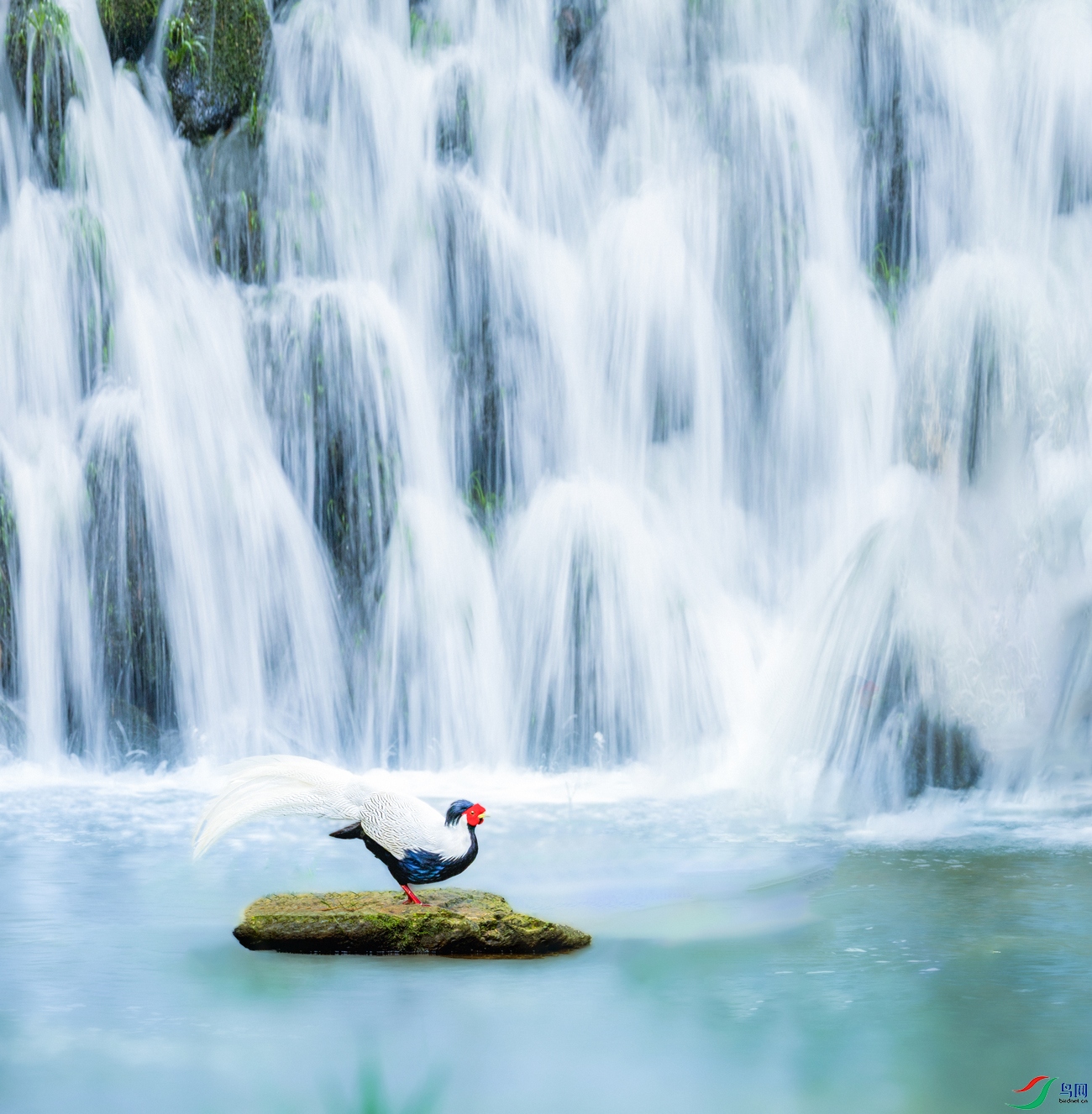 ����----���¼���������