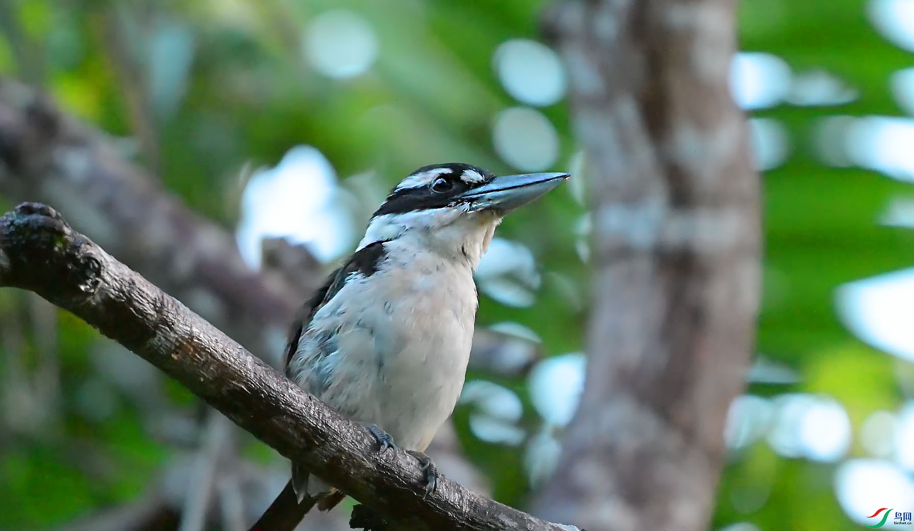 {39455C47-861E-4DA5-9BBE-13B1DE0A6C4E} ����.jpg