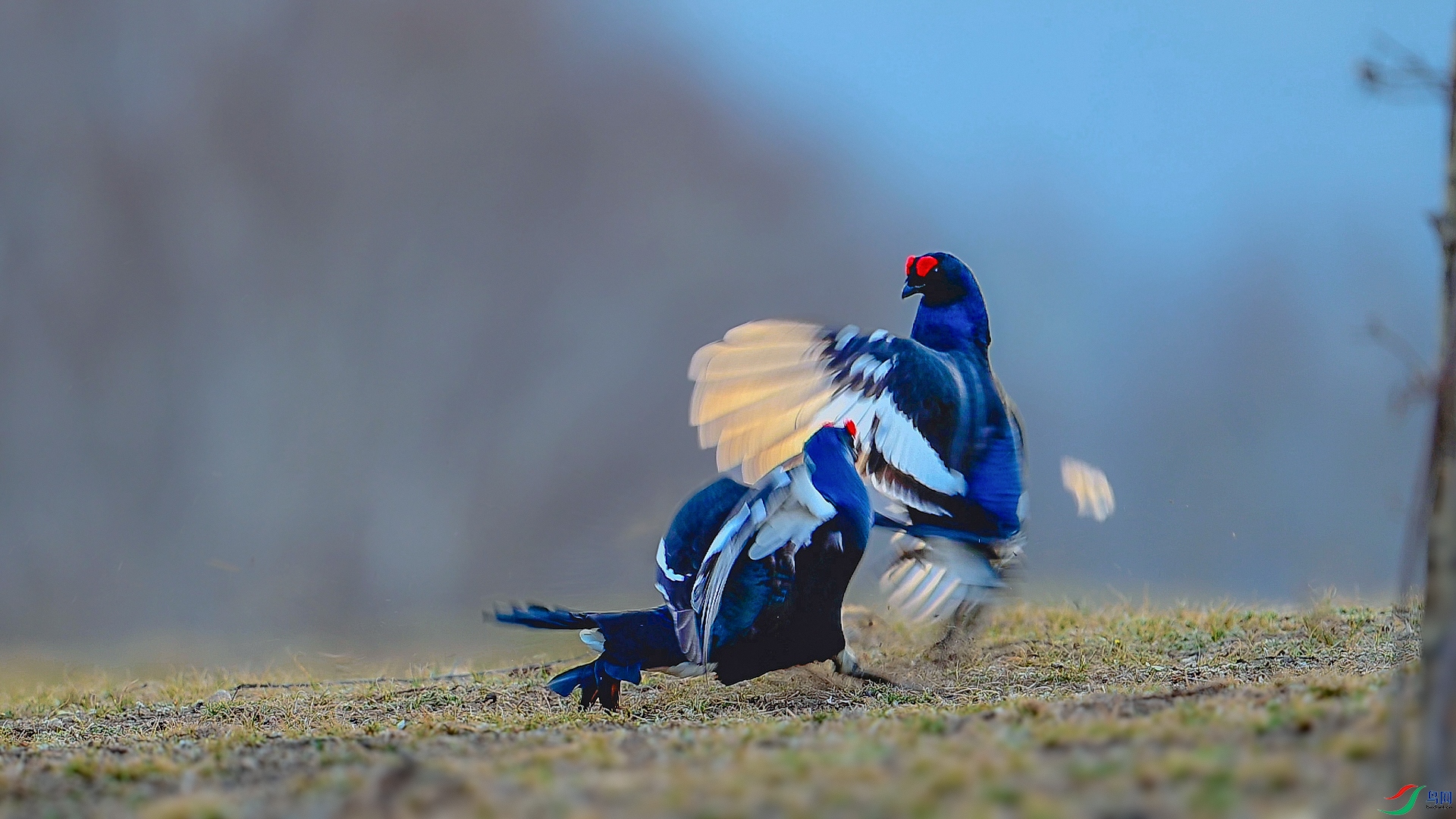 DSC_3101==8w.jpg