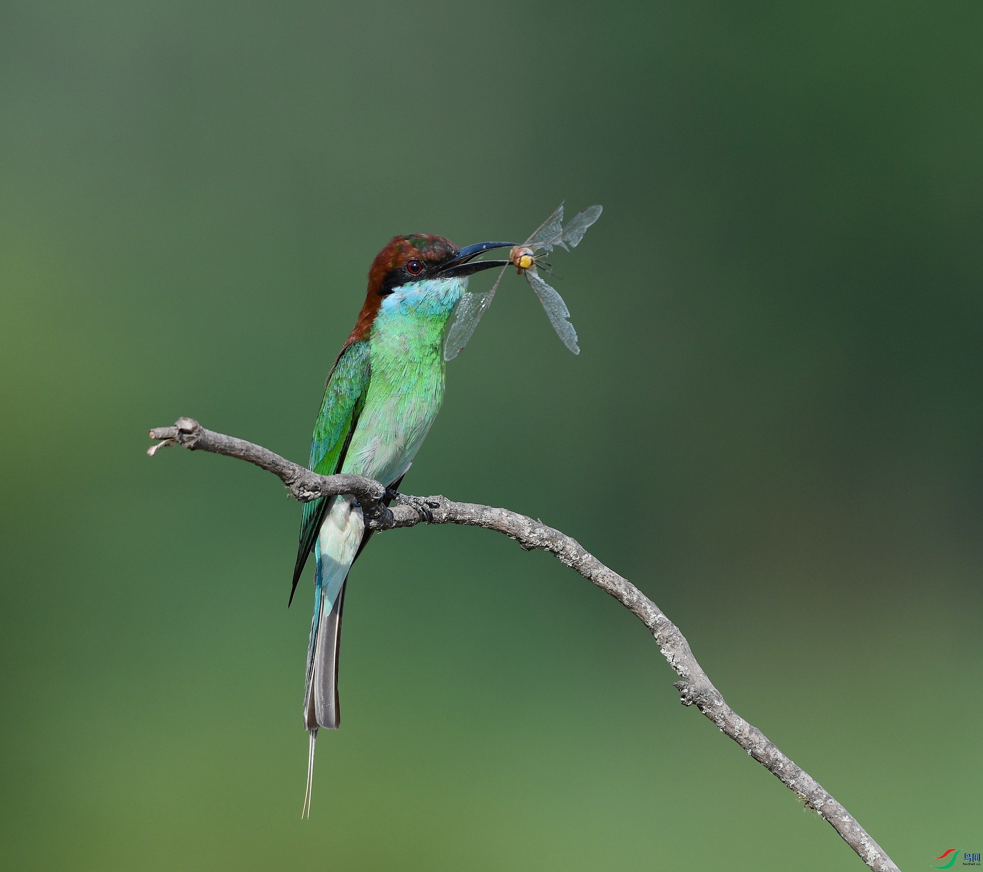 DSC_7073.jpg