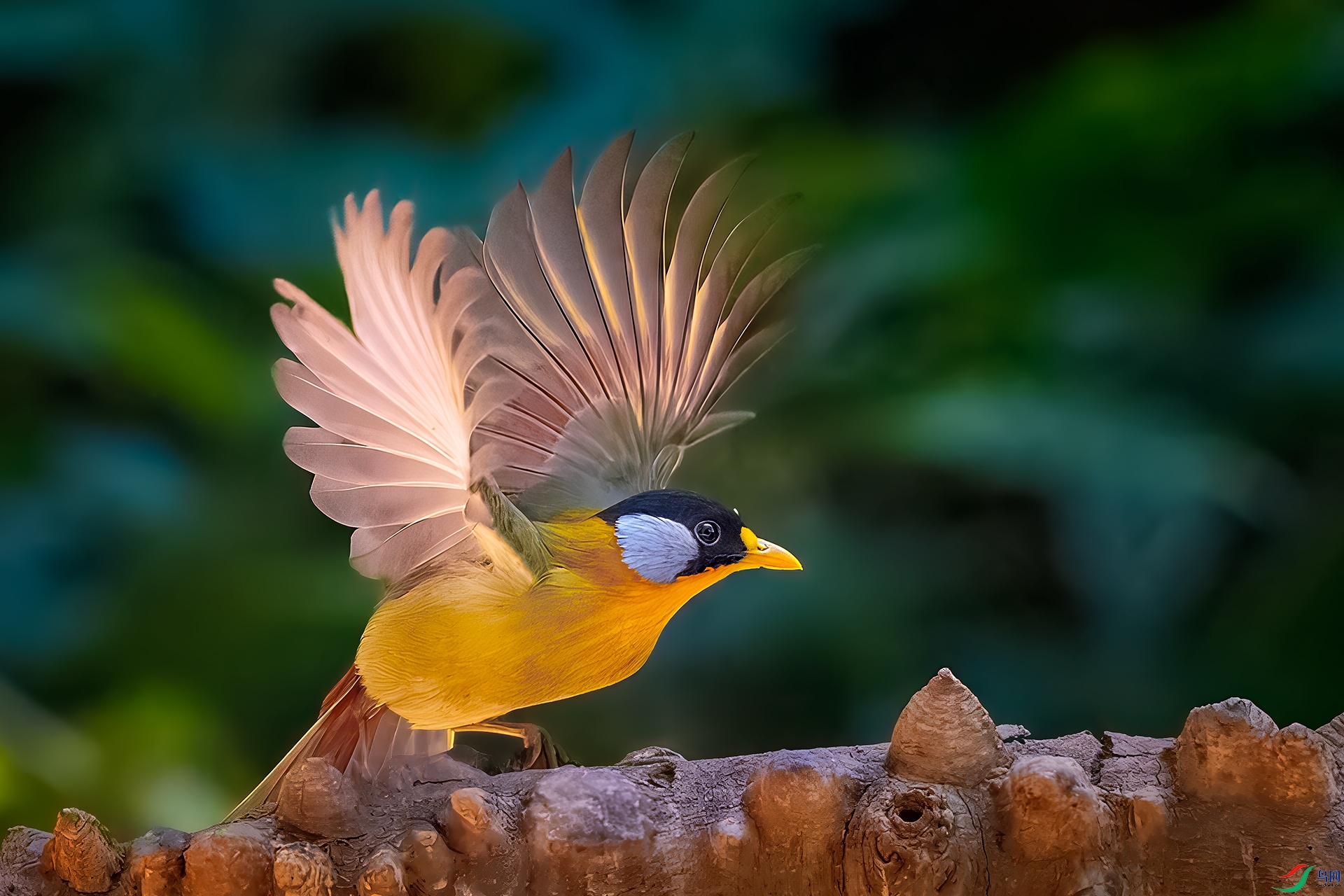 0_DSC3942-topaz-rawdenoise.jpg