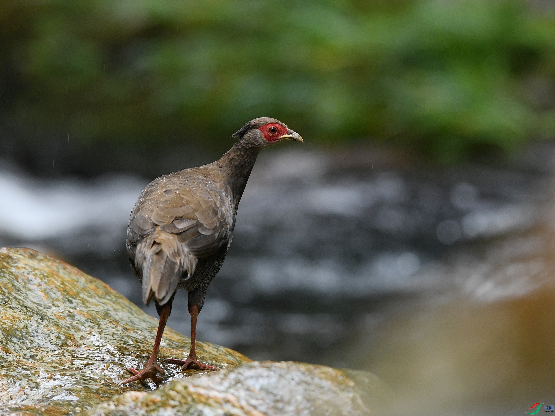 DSC_7479.jpg