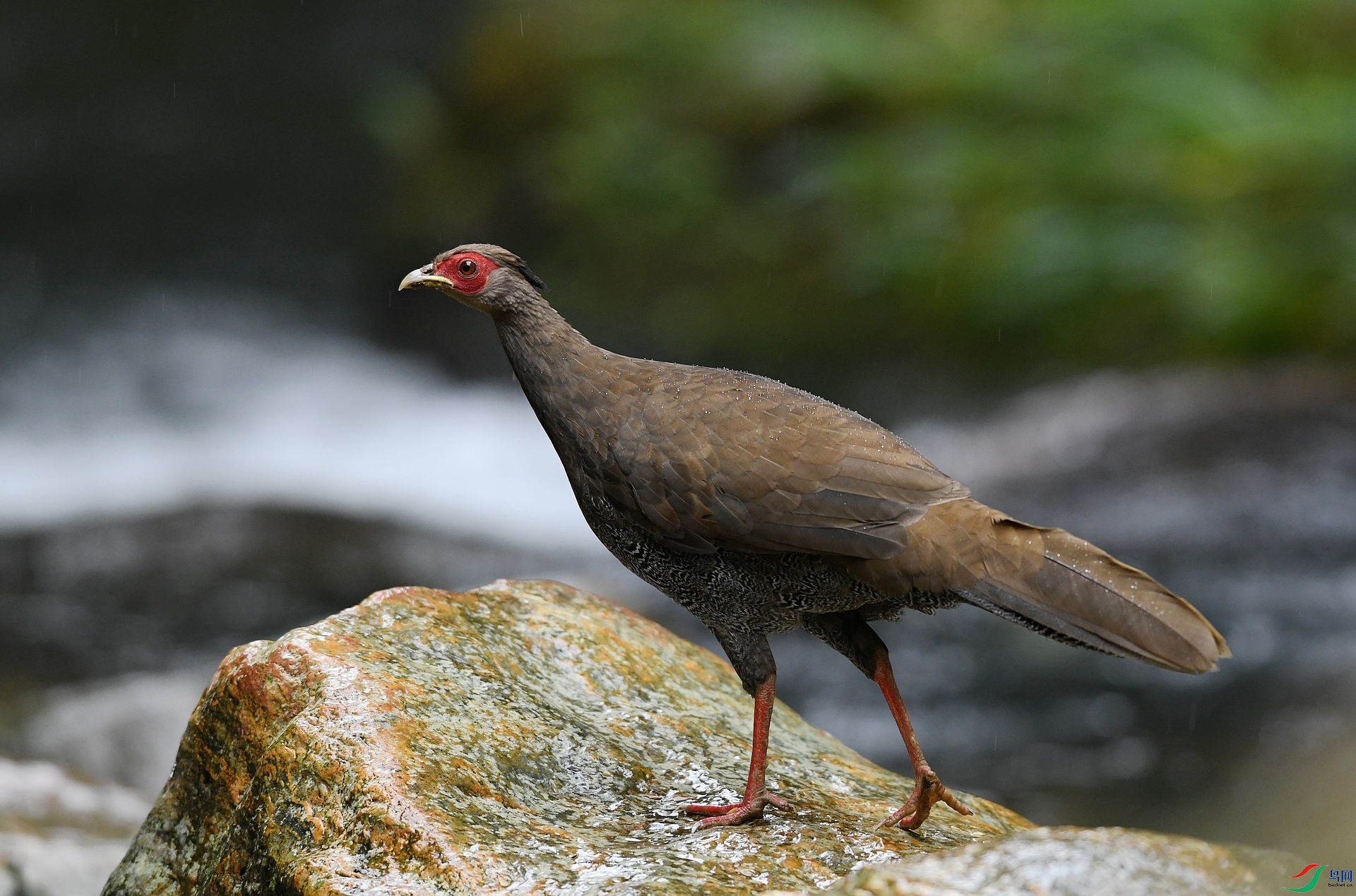 DSC_7481.jpg