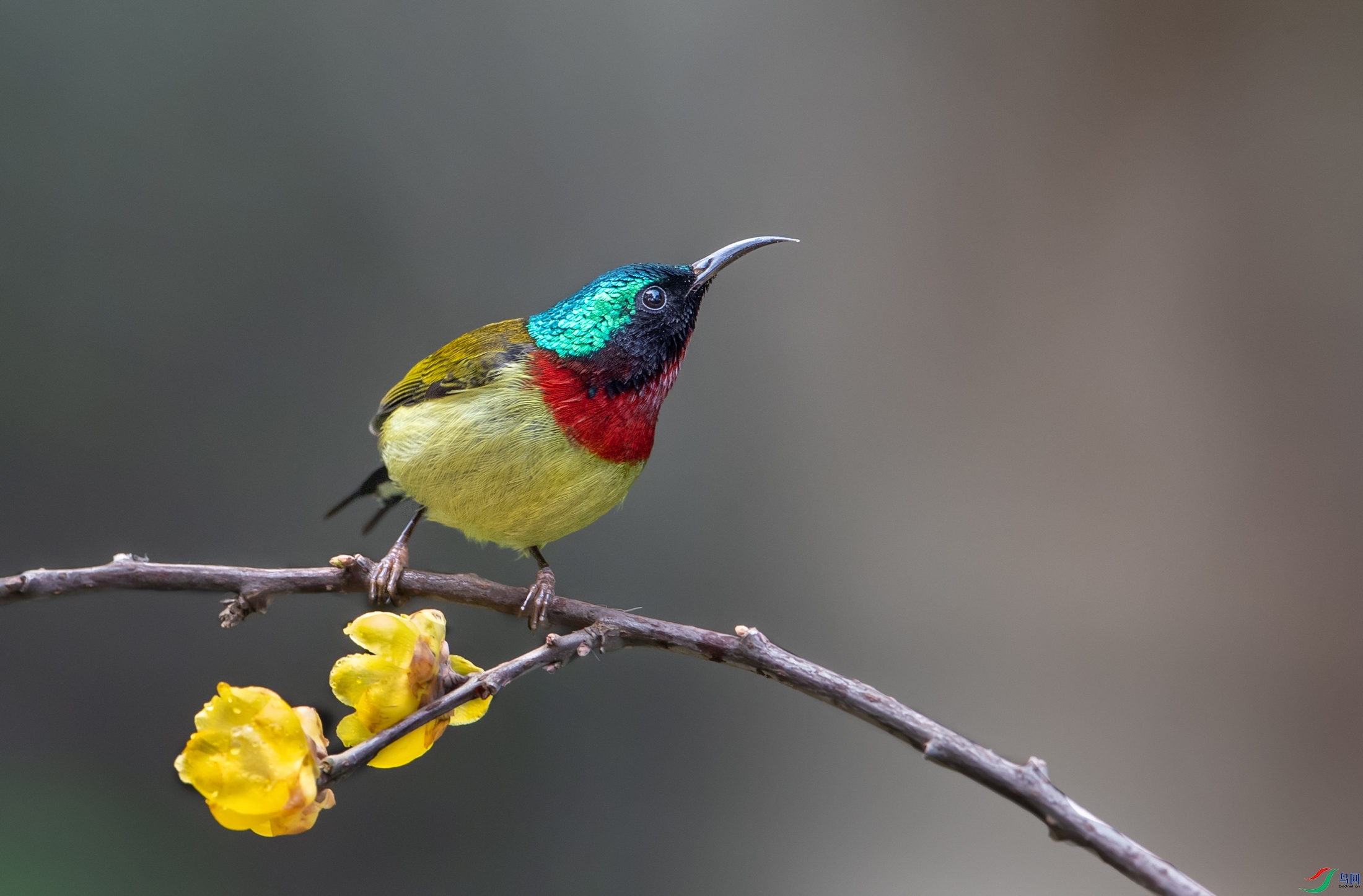 DSC_9066-1.jpg