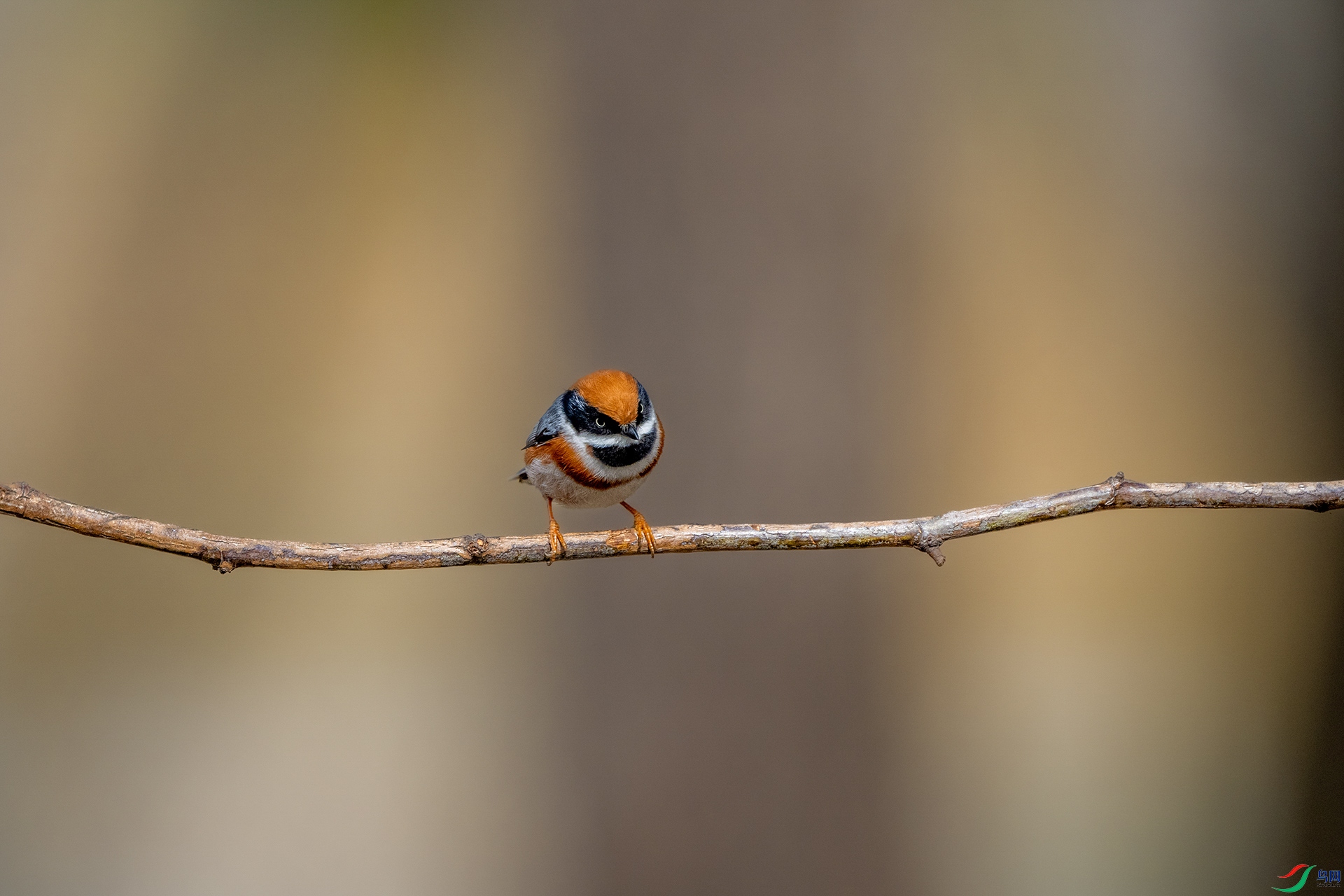 DSC_7770-2.jpg