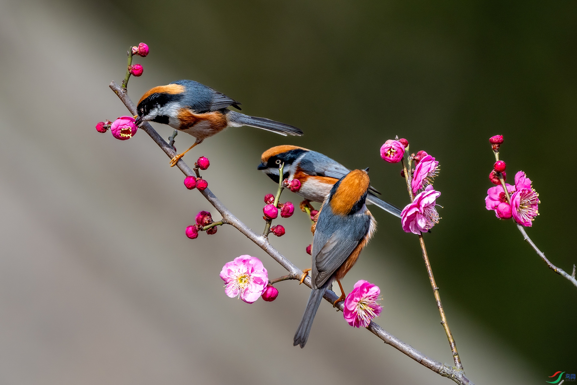 DSC_7902-2.jpg