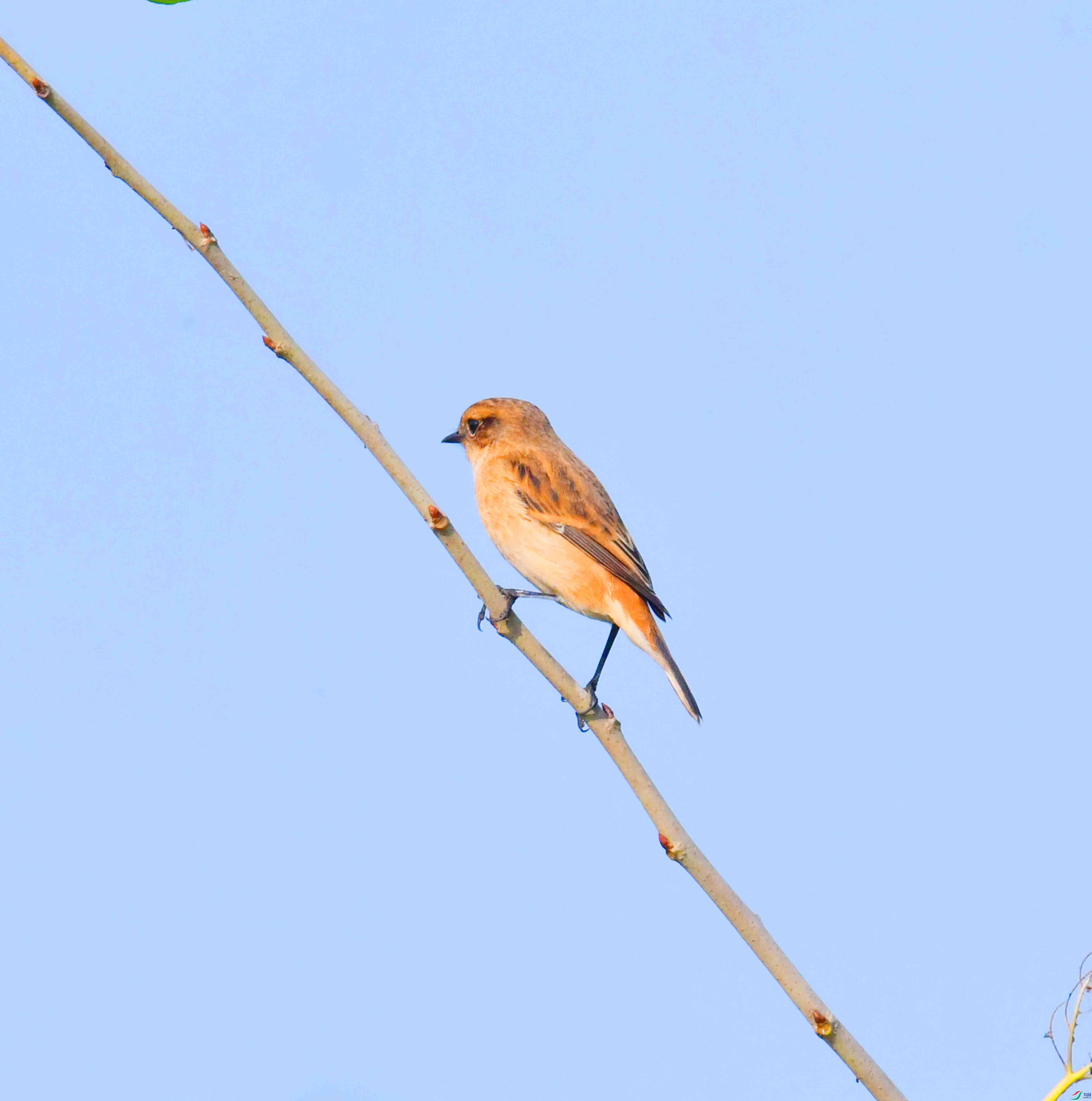 DSC_2999.JPG